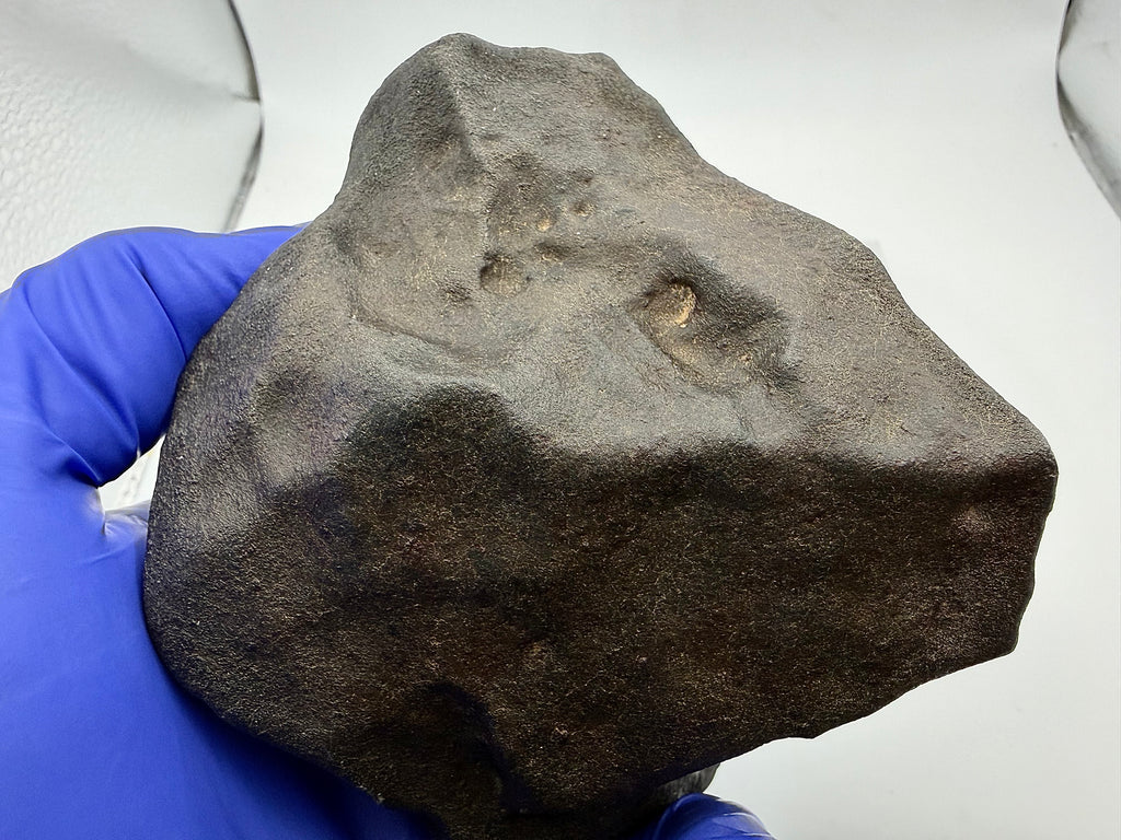NWA XXX ordinary chondrite meteorite 820.15g -- backside view showing fusion crust coverage and orientation contrast