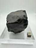 NWA XXX ordinary chondrite individual 635.58g, flight oriented -- unclassified meteorite from Morocco, Treasure Coast Meteori