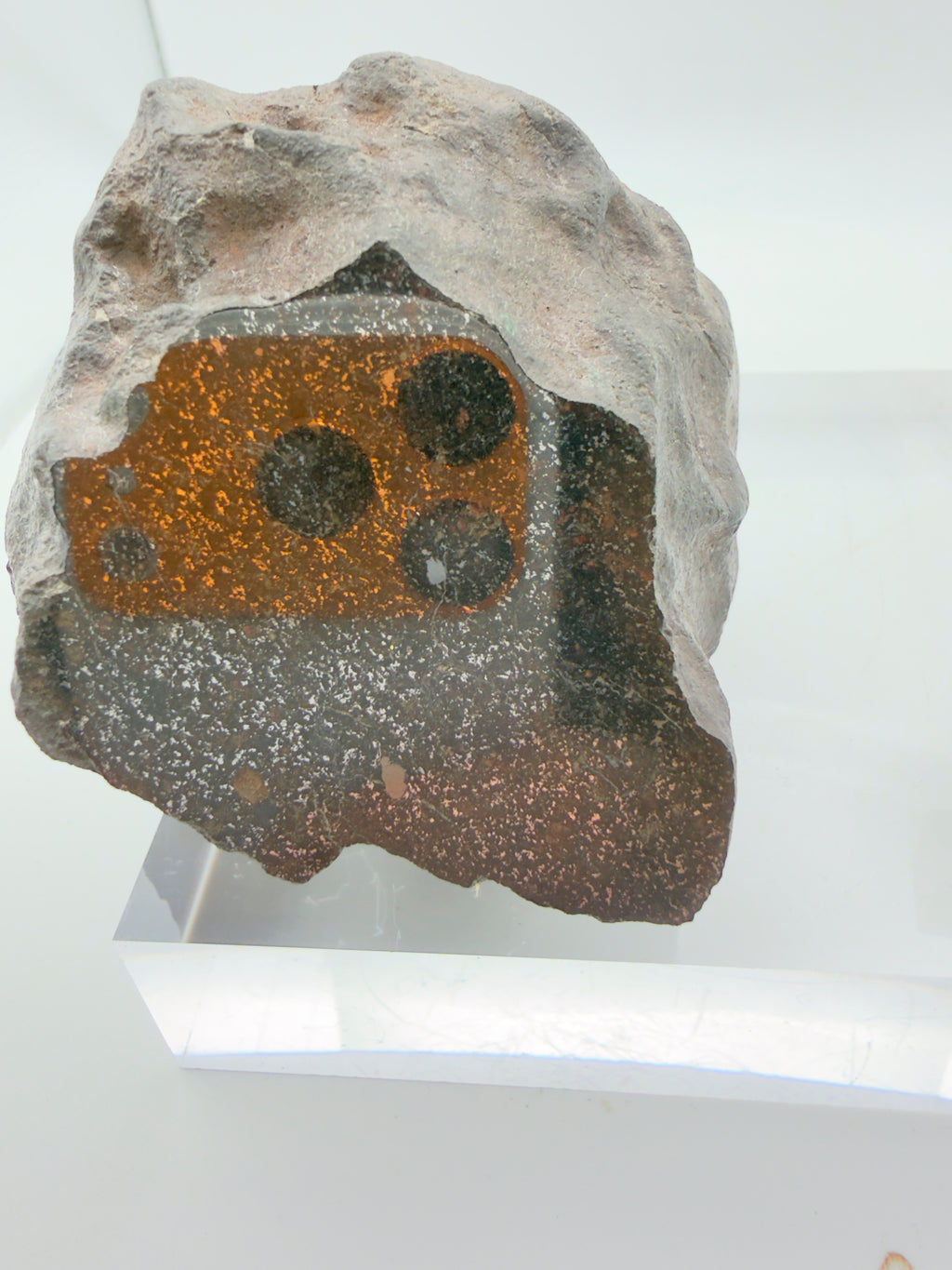 NWA 17919 H6 chondrite individual 488.00g, mirror polished window -- ordinary chondrite from Algeria, Treasure Coast Meteorit