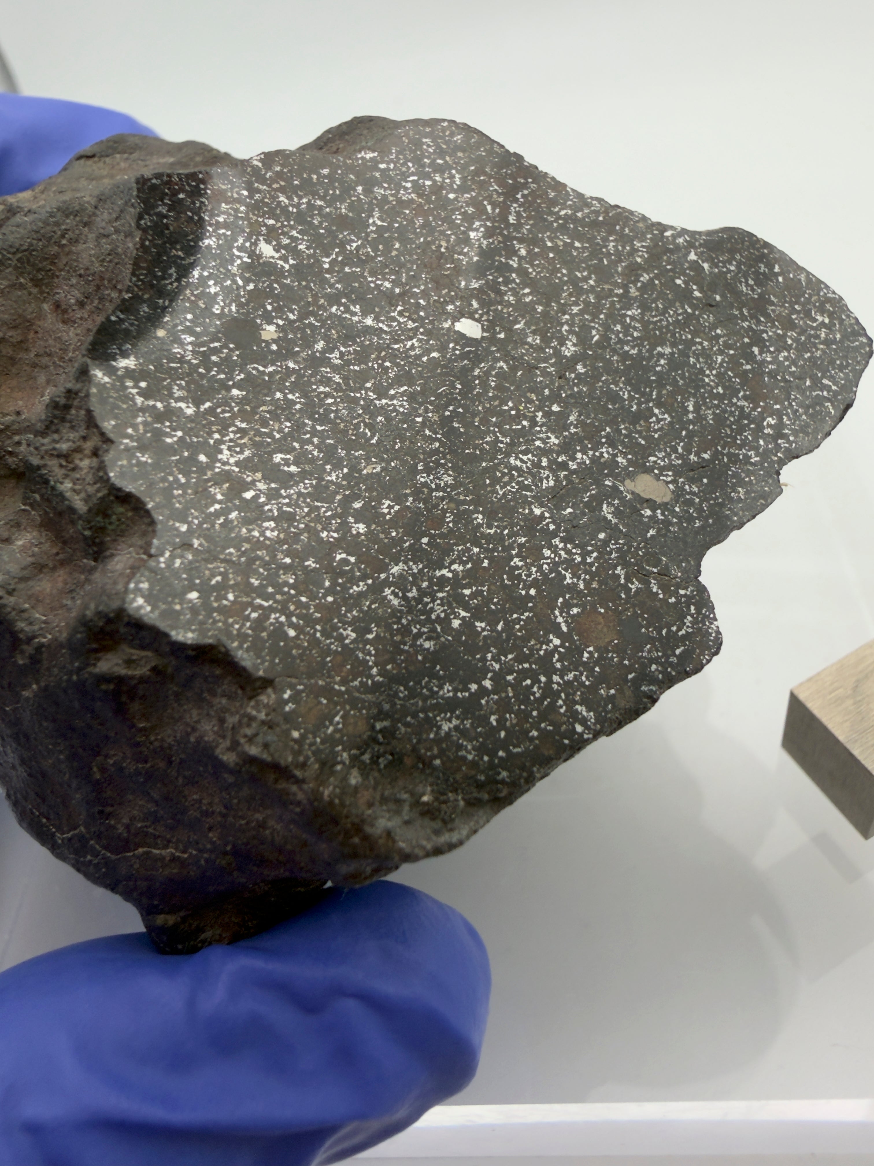 NWA 17919 meteorite individual 488.00g -- full specimen profile showing polished window position and exterior features
