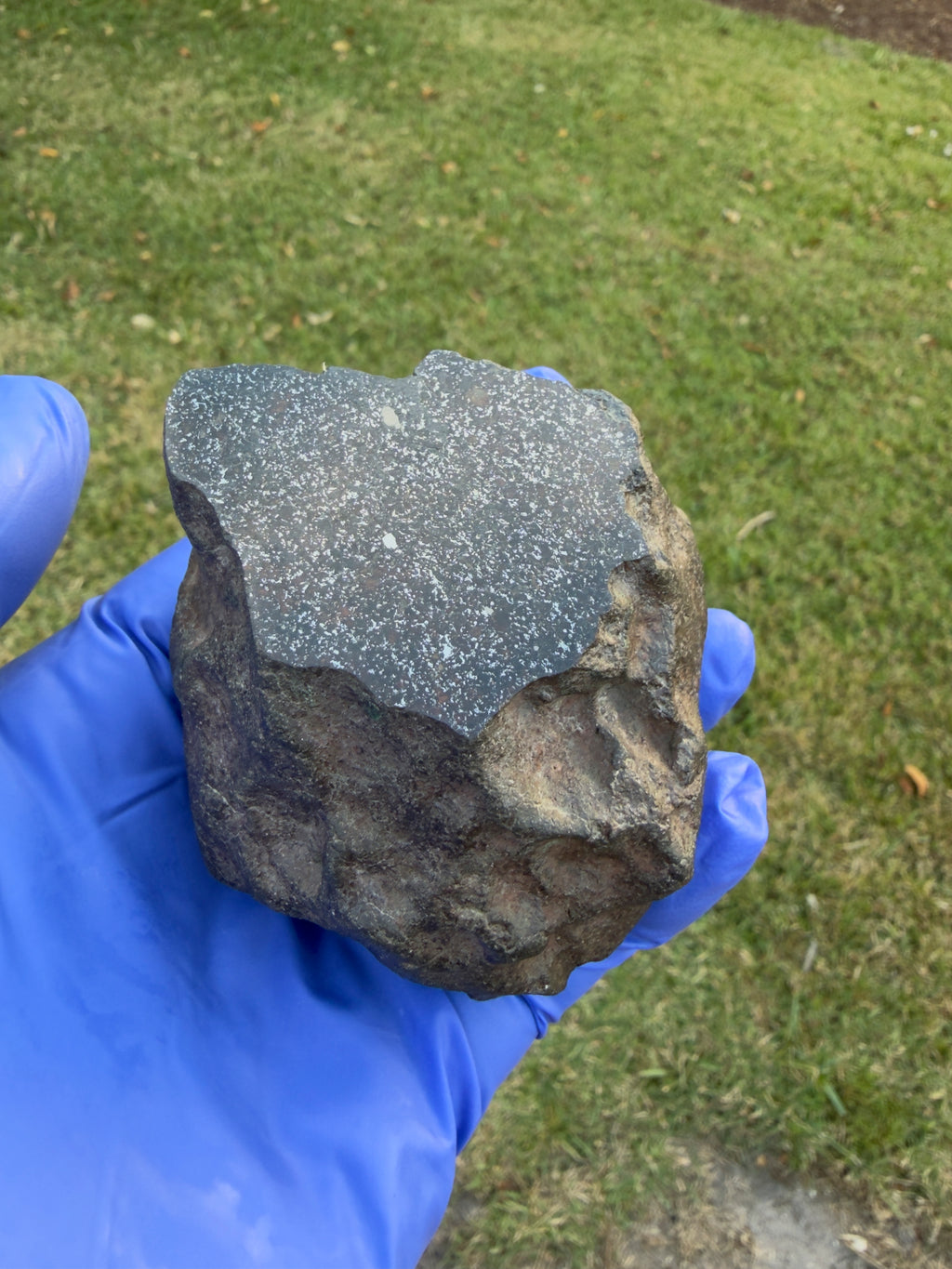 NWA 17919 ordinary chondrite 488.00g -- contrast between natural fusion crust exterior and prepared polished interior