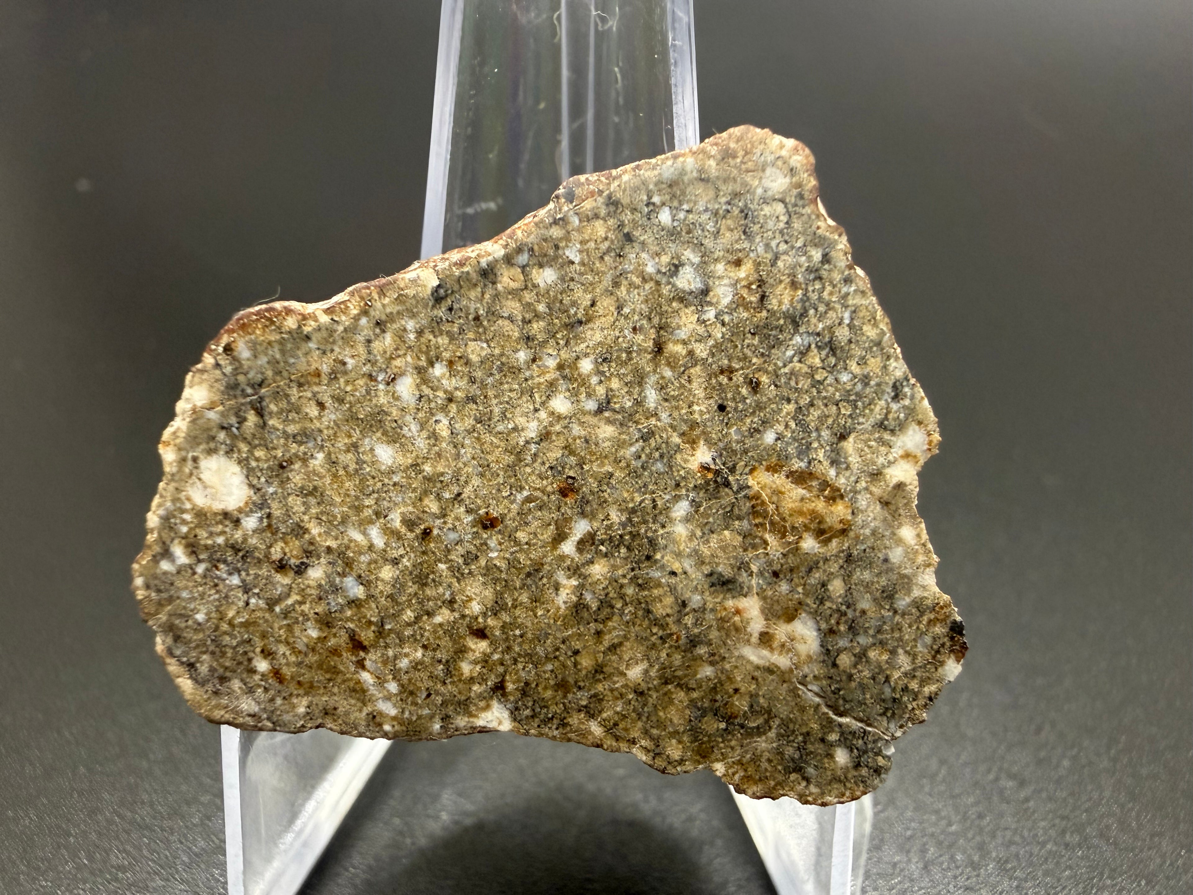 NWA 17918 diogenite meteorite 13.33g -- orthopyroxene clasts and polymict breccia texture under polish