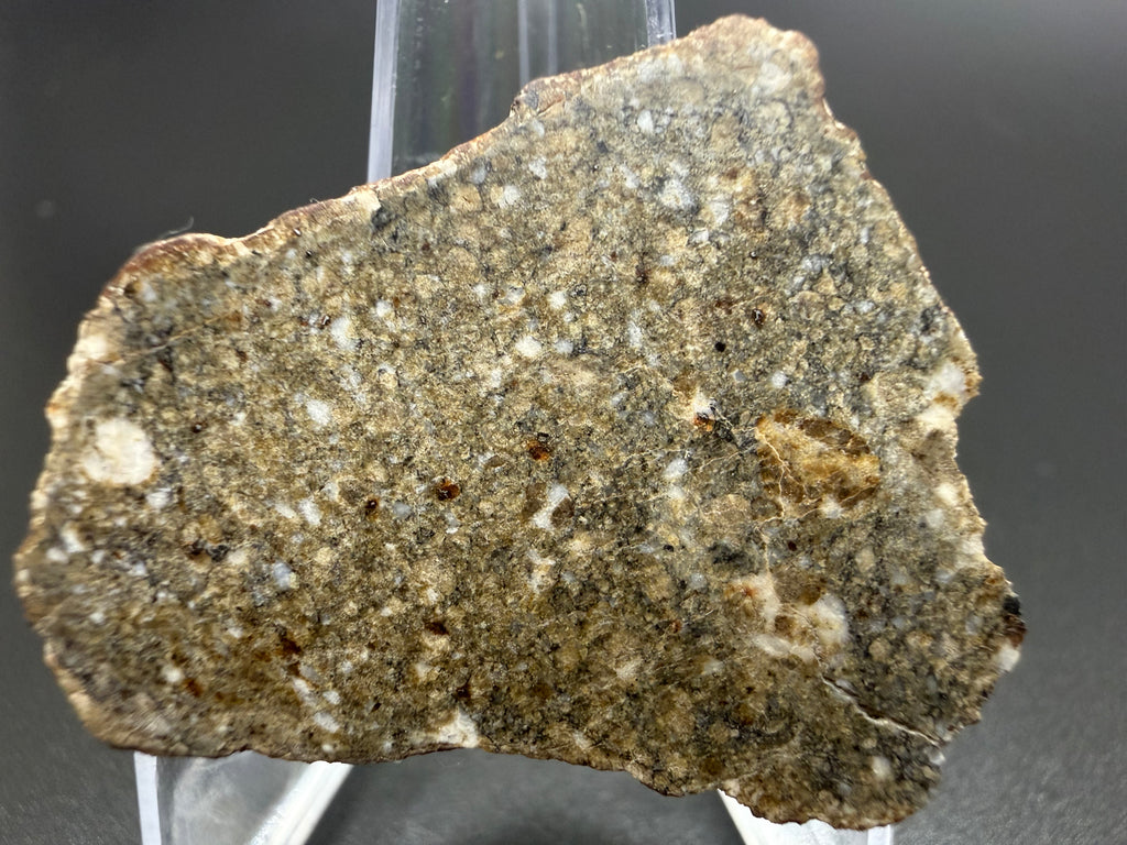 NWA 17918 diogenite meteorite 13.33g -- millimeter-scale pyroxene fragments in impact-lithified matrix
