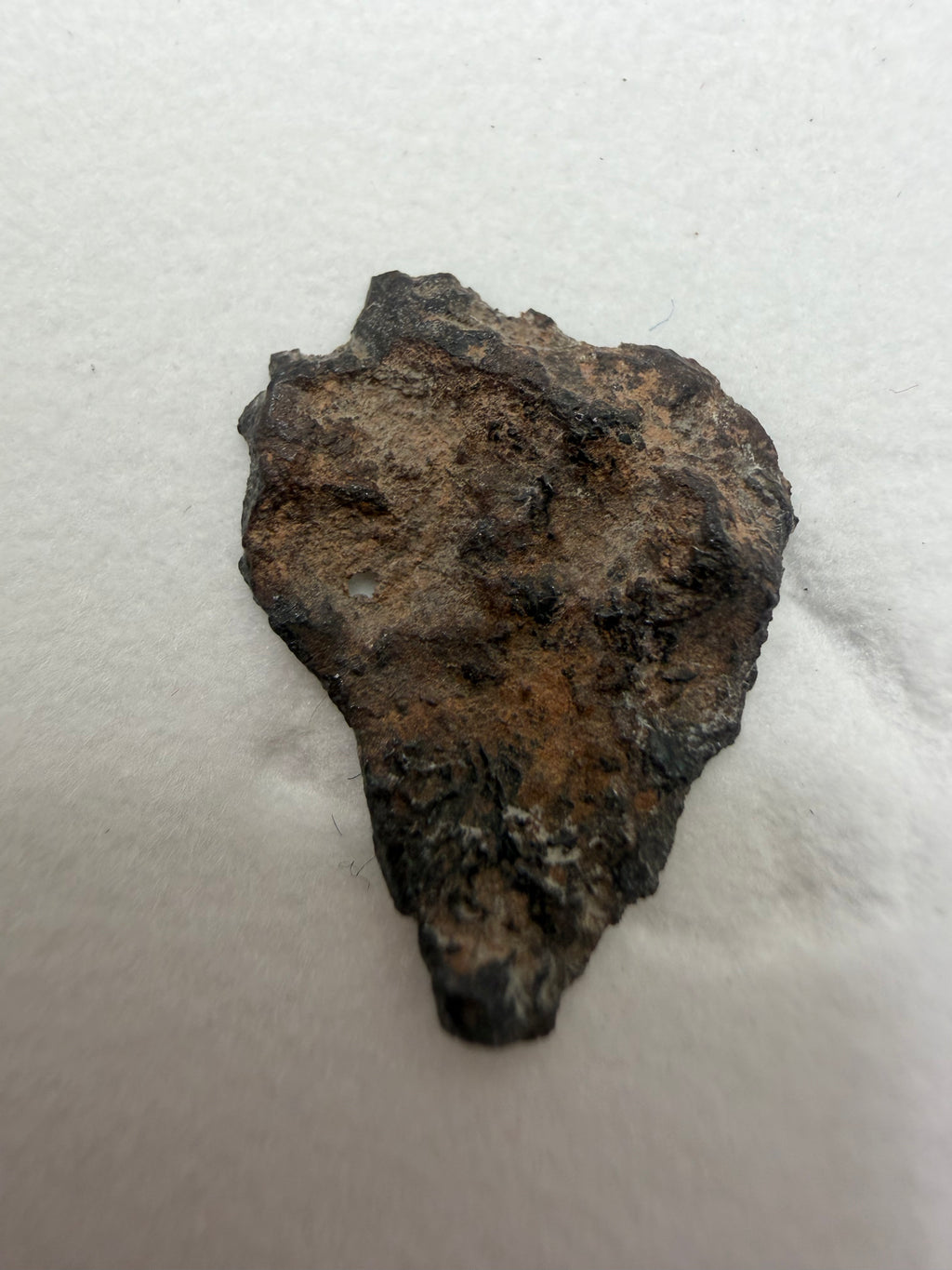 end cut rough side close up of meteorite angrite