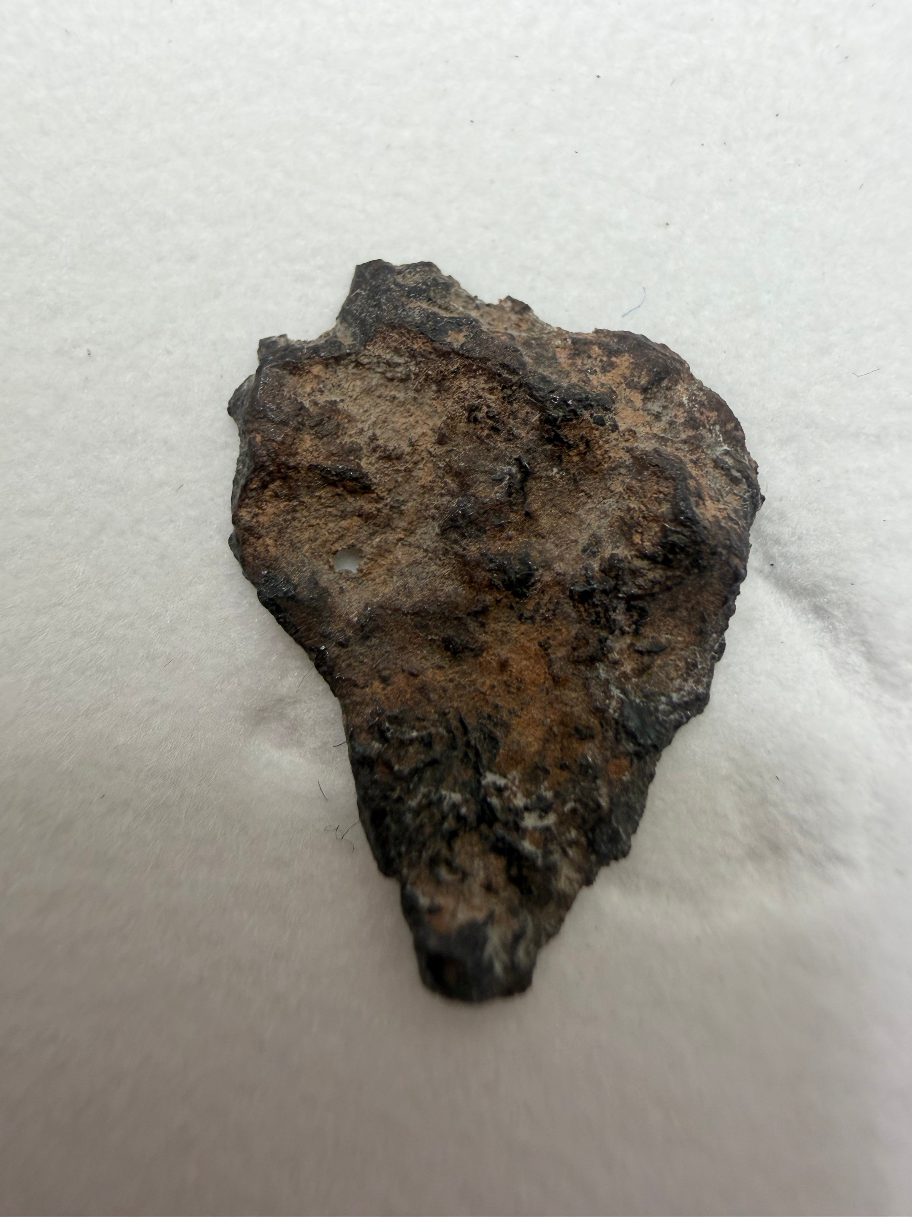 end cut rough side close up of meteorite angrite