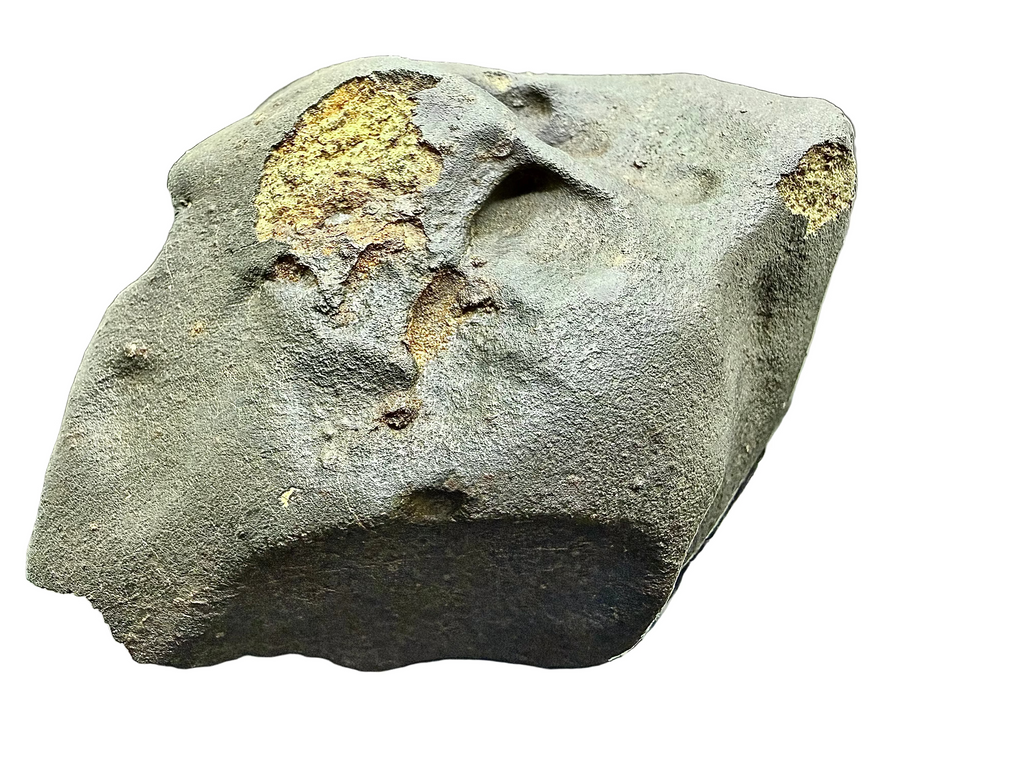 NWA XXX ordinary chondrite 1668.24g -- regmaglypt detail showing thumbprint depressions in fusion crust