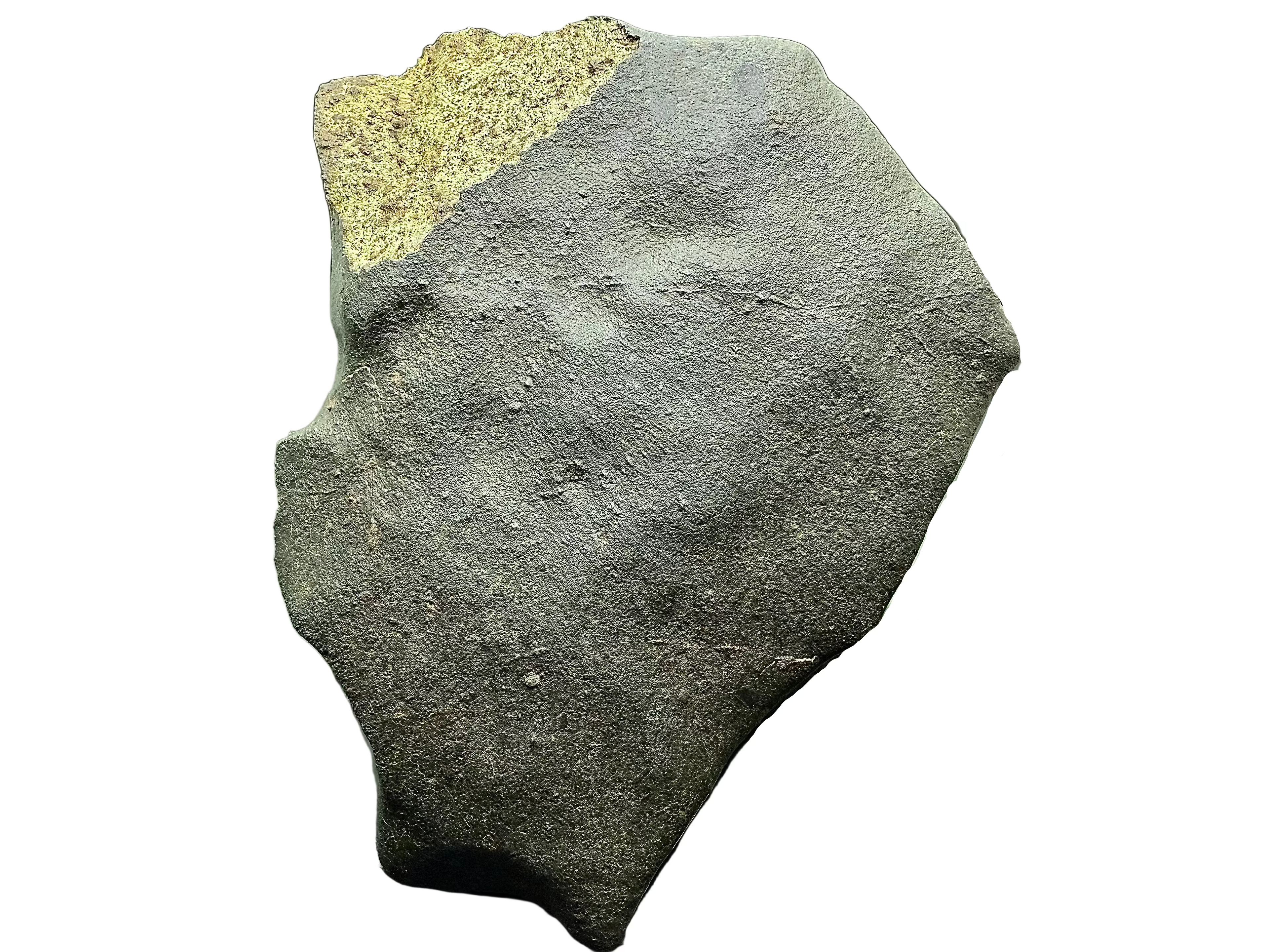 NWA XXX ordinary chondrite 1668.24g -- lateral view showing oriented cone shape from stable atmospheric flight