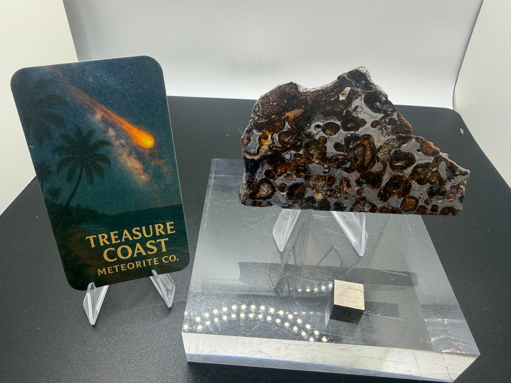 Sericho pallasite meteorite part slice 92.48g, etched and stabilized -- stony-iron from asteroid core-mantle boundary, Treasu