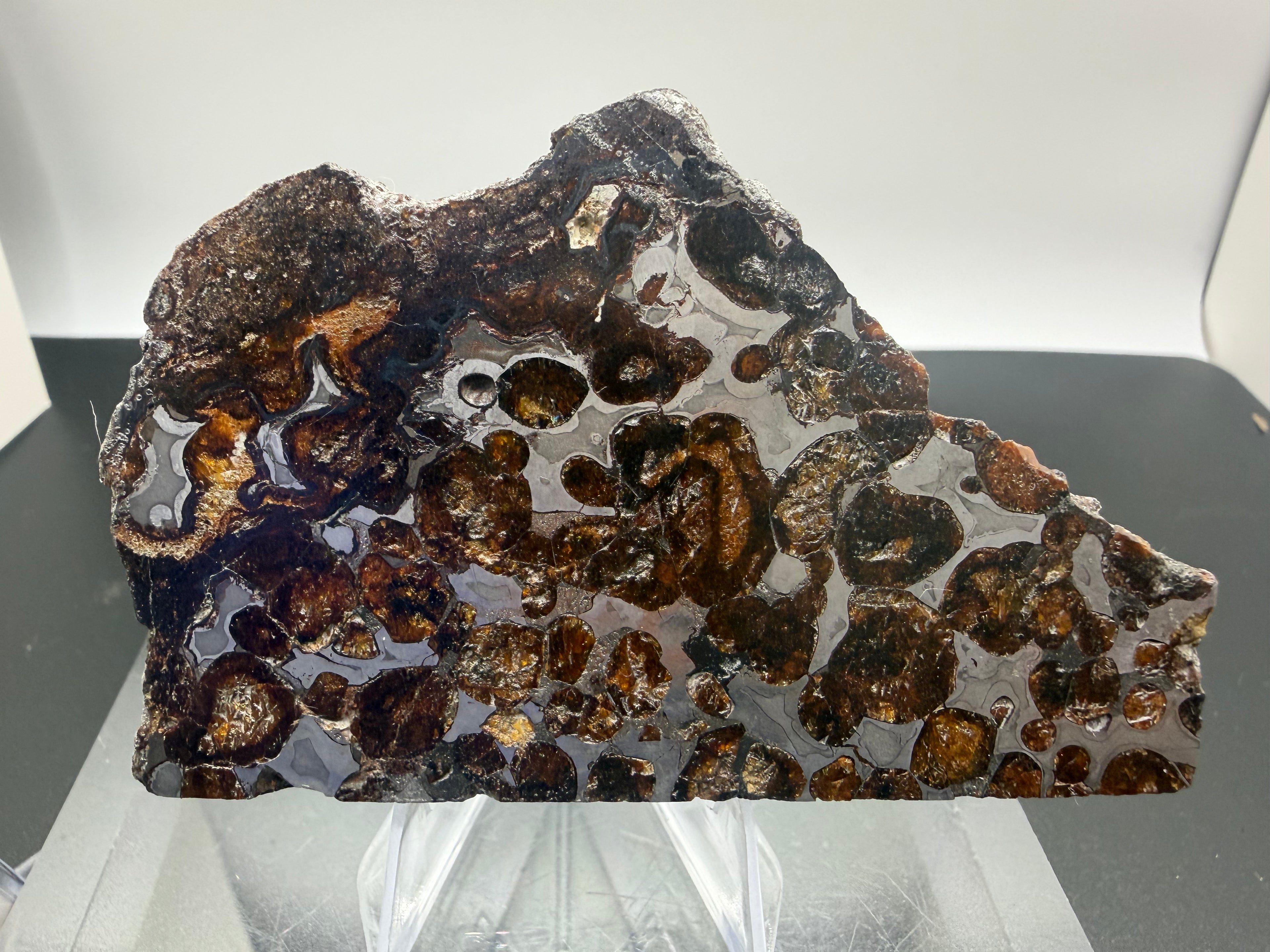 Sericho pallasite meteorite 92.48g -- olivine crystal cross-sections embedded in etched metallic host showing core-mantle bou