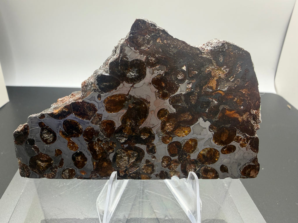 Sericho pallasite 92.48g -- differential etching revealing metal phase boundaries and olivine grain distribution in part slic