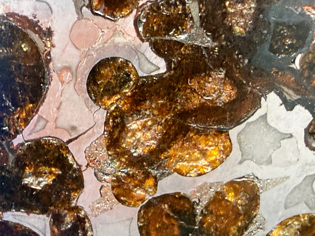 Sericho pallasite meteorite 92.48g -- stabilized surface showing preserved metal-silicate interface with museum-grade conserv