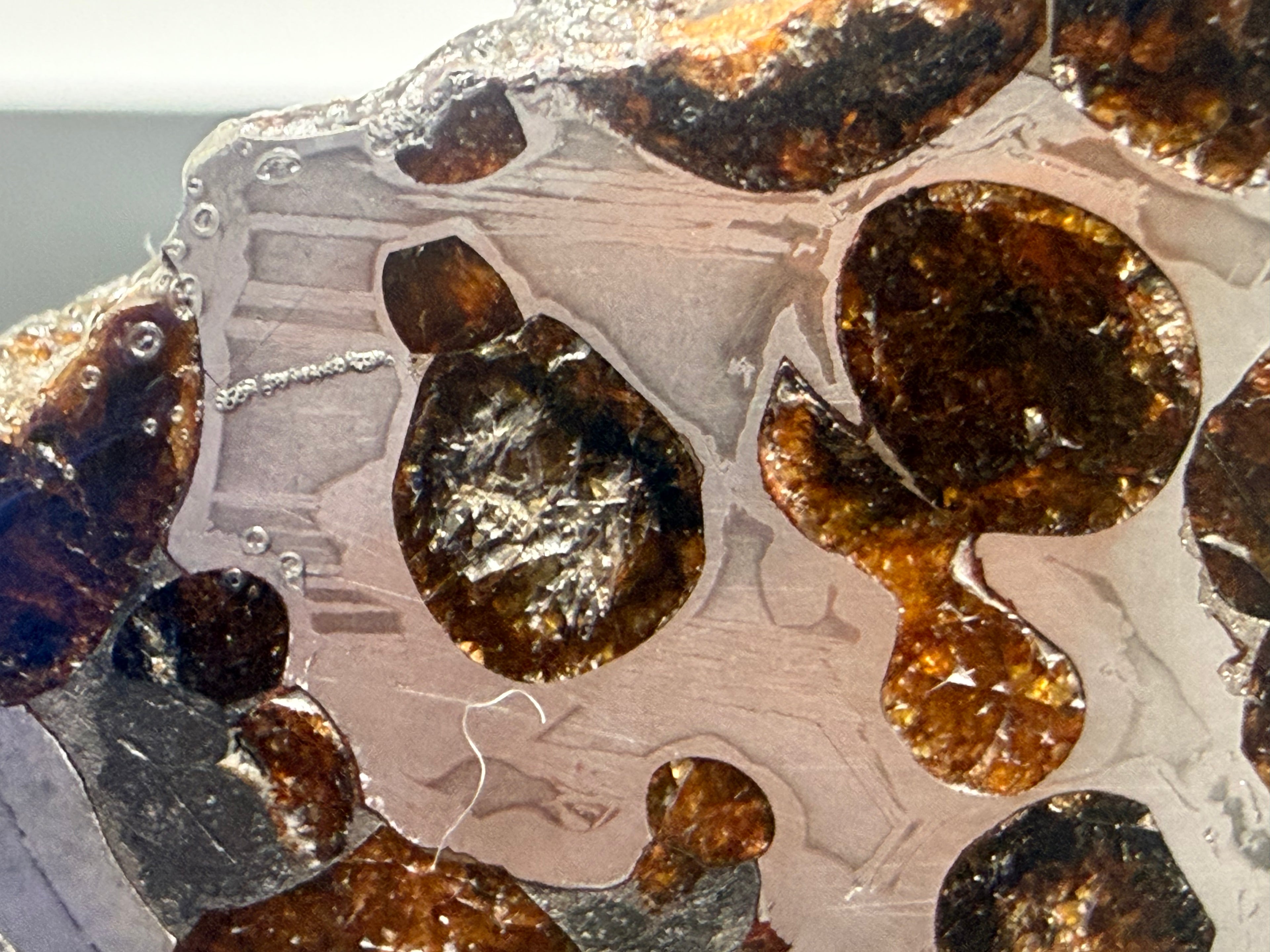 Sericho pallasite 92.48g -- kamacite lamellae orientation and olivine crystal fracture patterns visible under oblique lightin