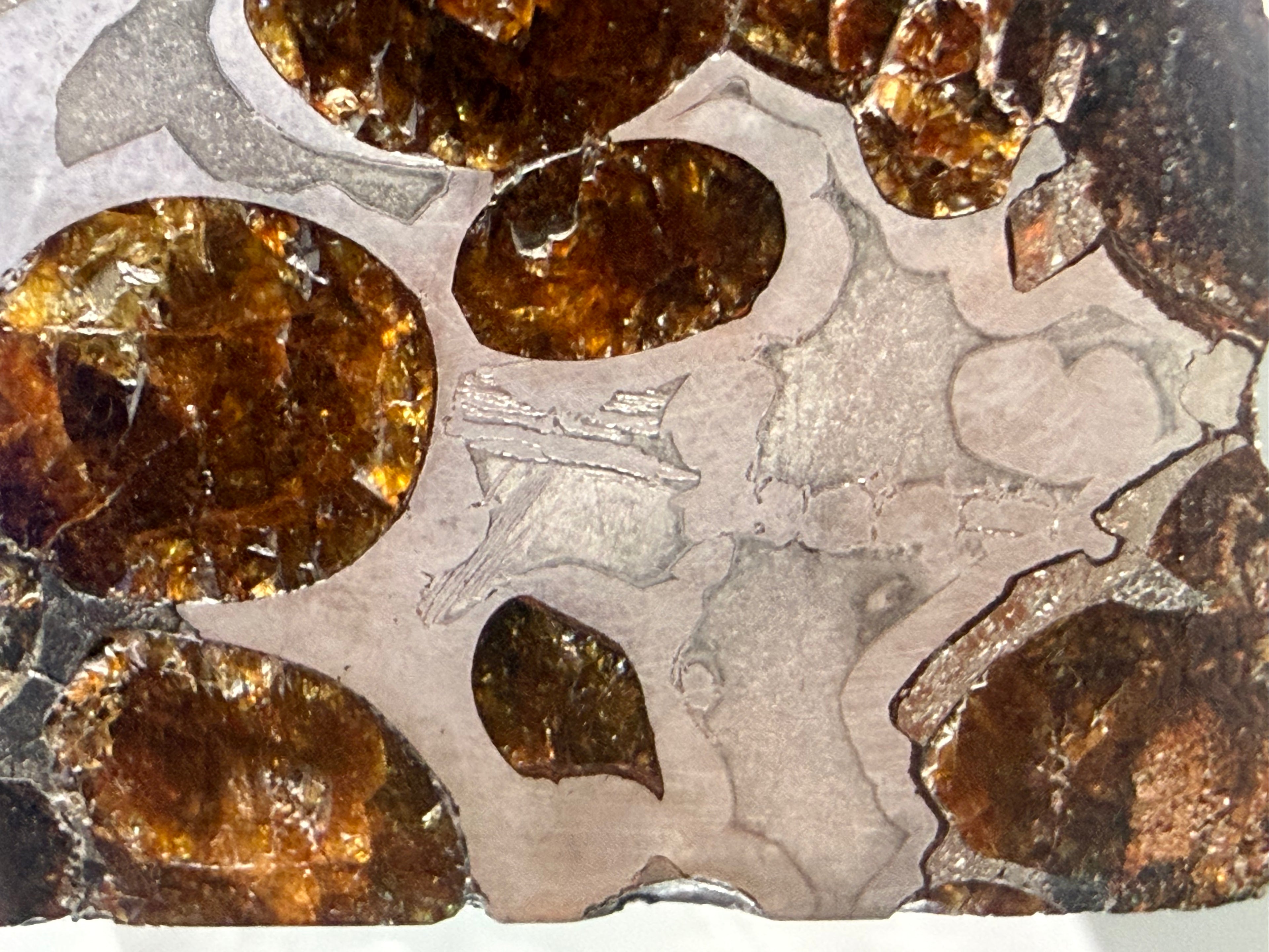 Sericho pallasite meteorite 92.48g -- part slice edge showing Paraloid B-72 stabilization and three-dimensional crystal distr