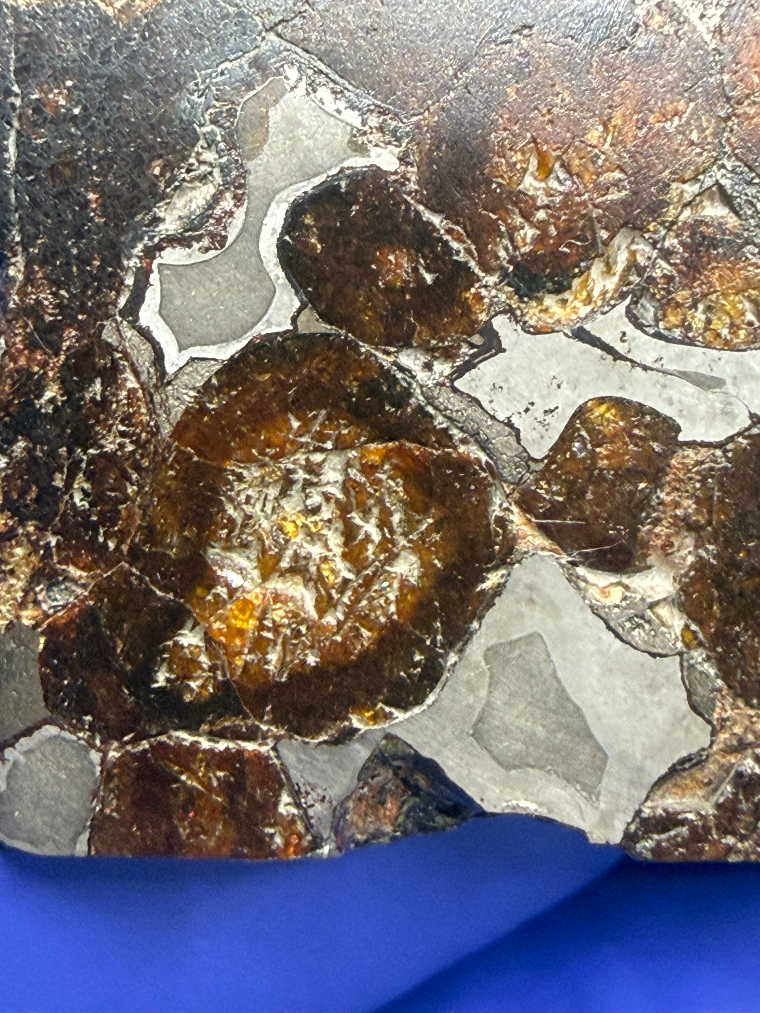 Sericho pallasite 92.48g -- etched iron-nickel matrix revealing kamacite-taenite crystallographic structure around olivine cr