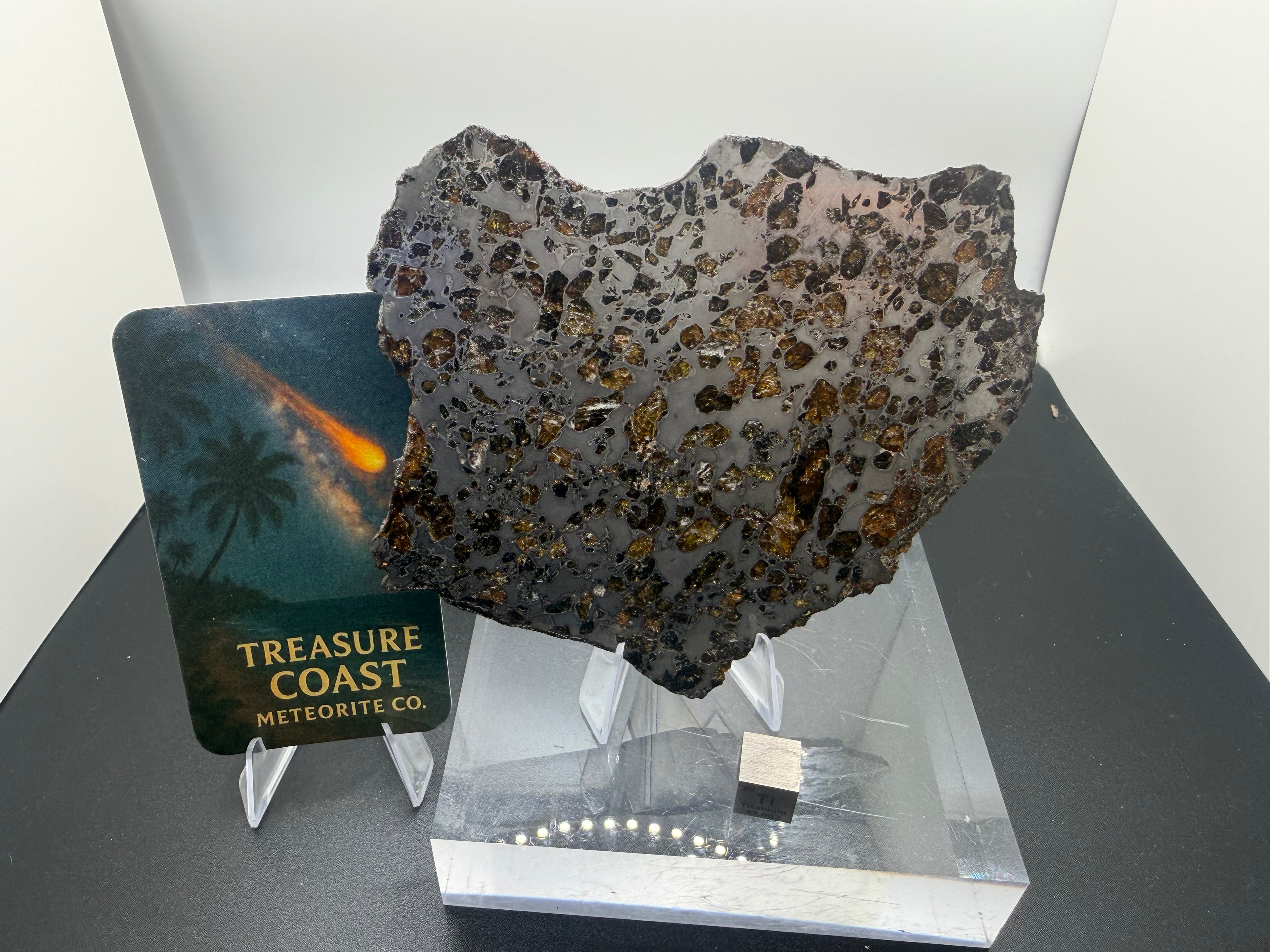 Gyarub Zangbo pallasite 94.90g -- olivine crystal distribution pattern across full slice cross-section