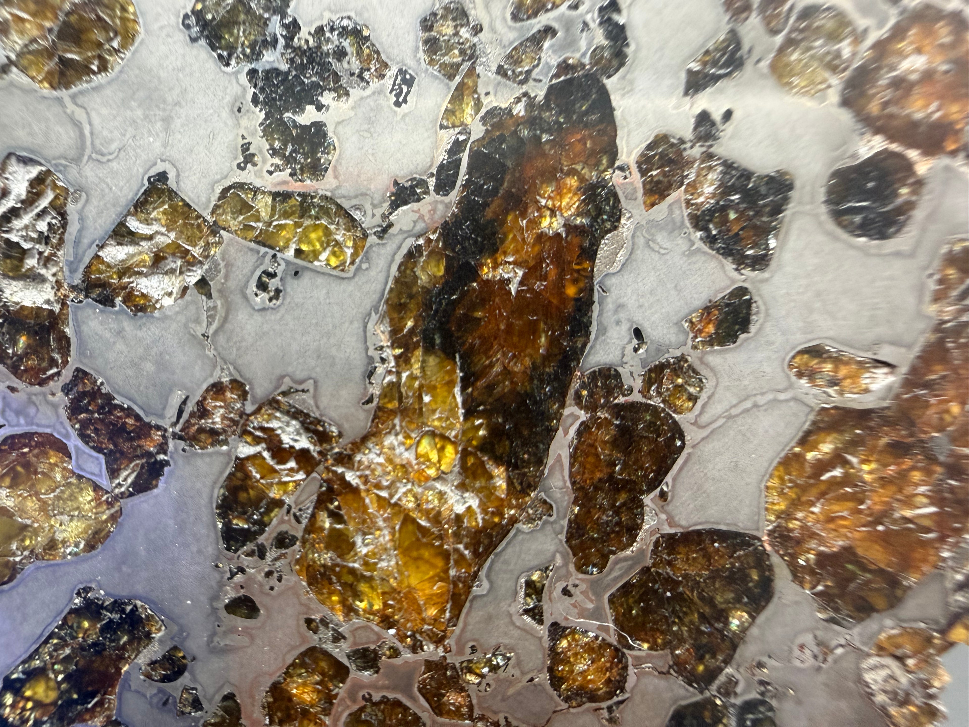 Gyarub Zangbo pallasite 94.90g -- olivine-metal interface boundaries showing crystal margin structure