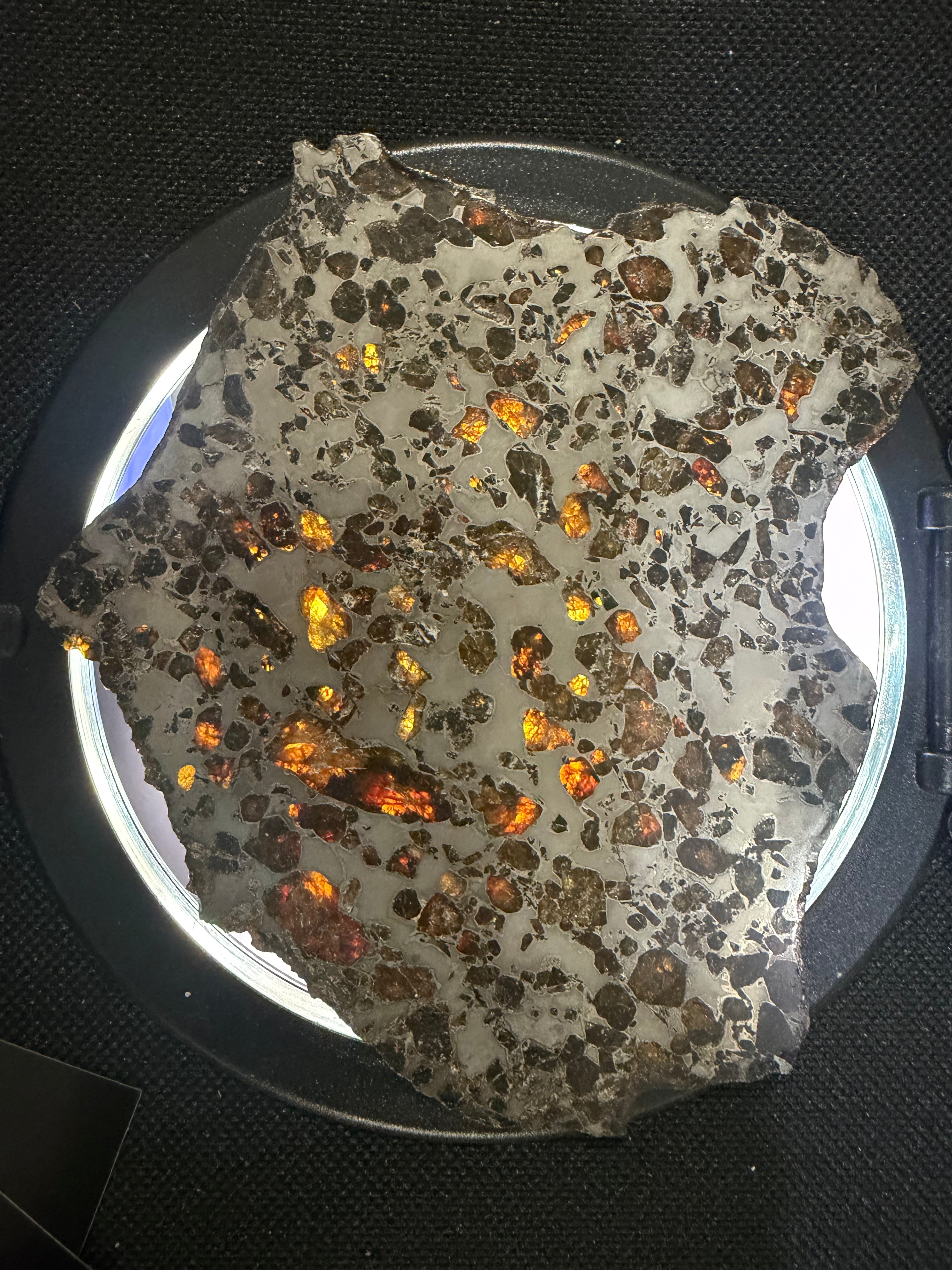 Gyarub Zangbo pallasite 94.90g -- backlit view highlighting peridot-green olivine translucency in metal framework