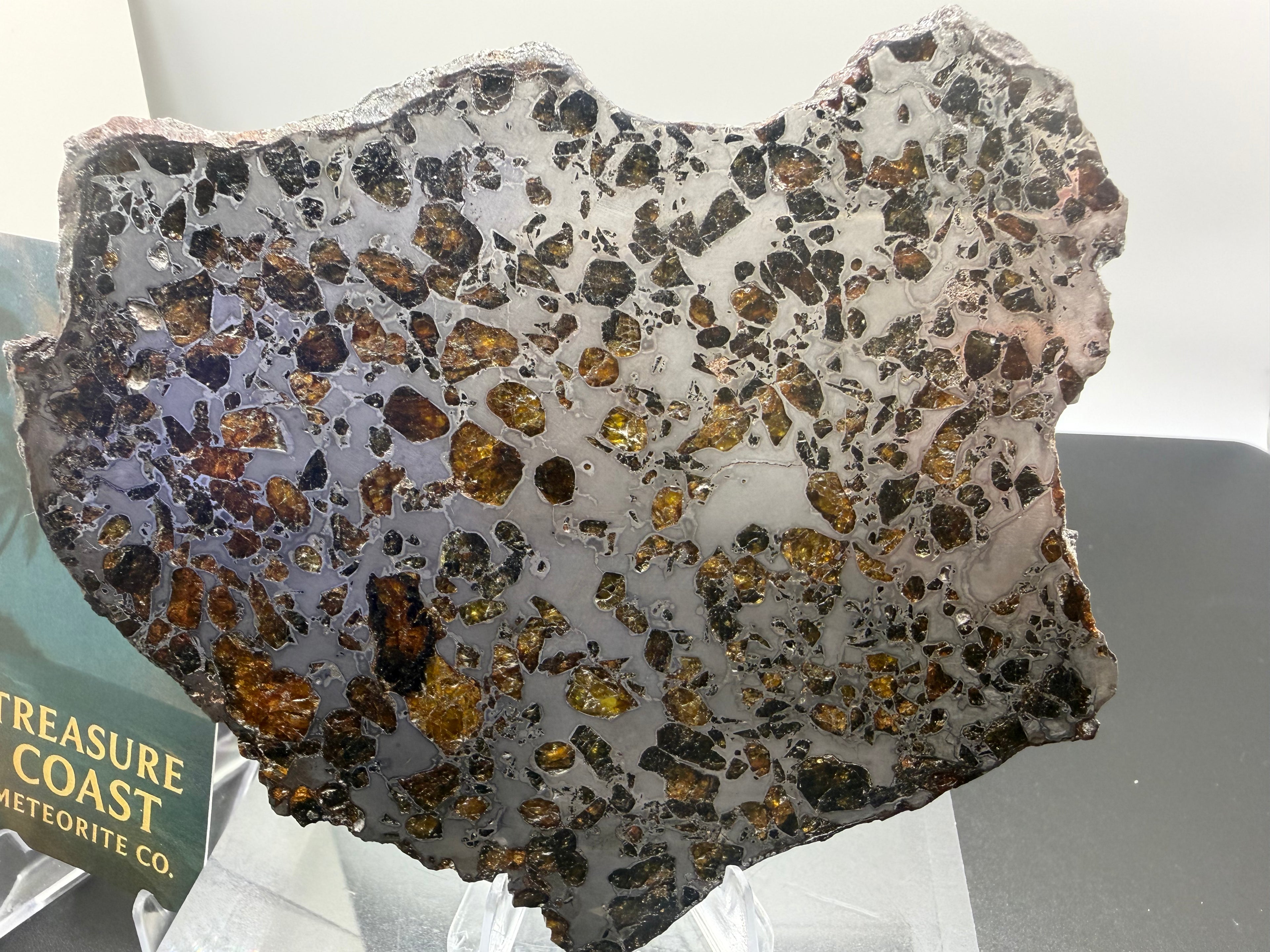 Gyarub Zangbo pallasite 94.90g -- etched kamacite-taenite intergrowth detail in metallic matrix