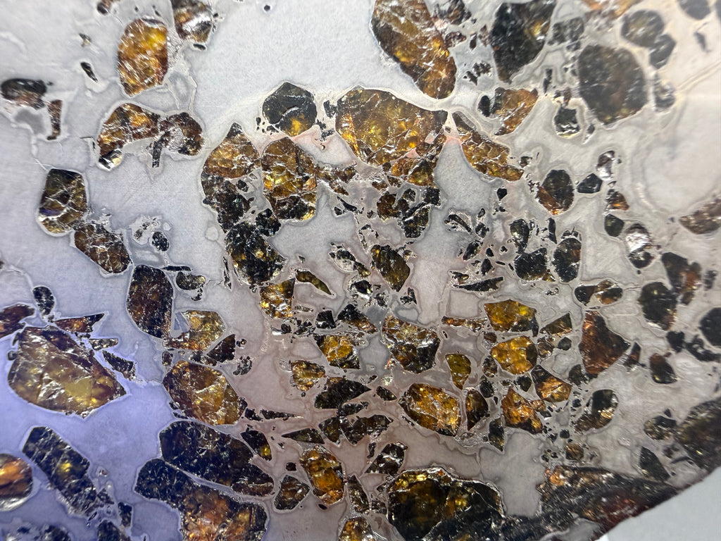 Gyarub Zangbo pallasite 94.90g -- complete edge profile showing slice thickness and stabilization treatment