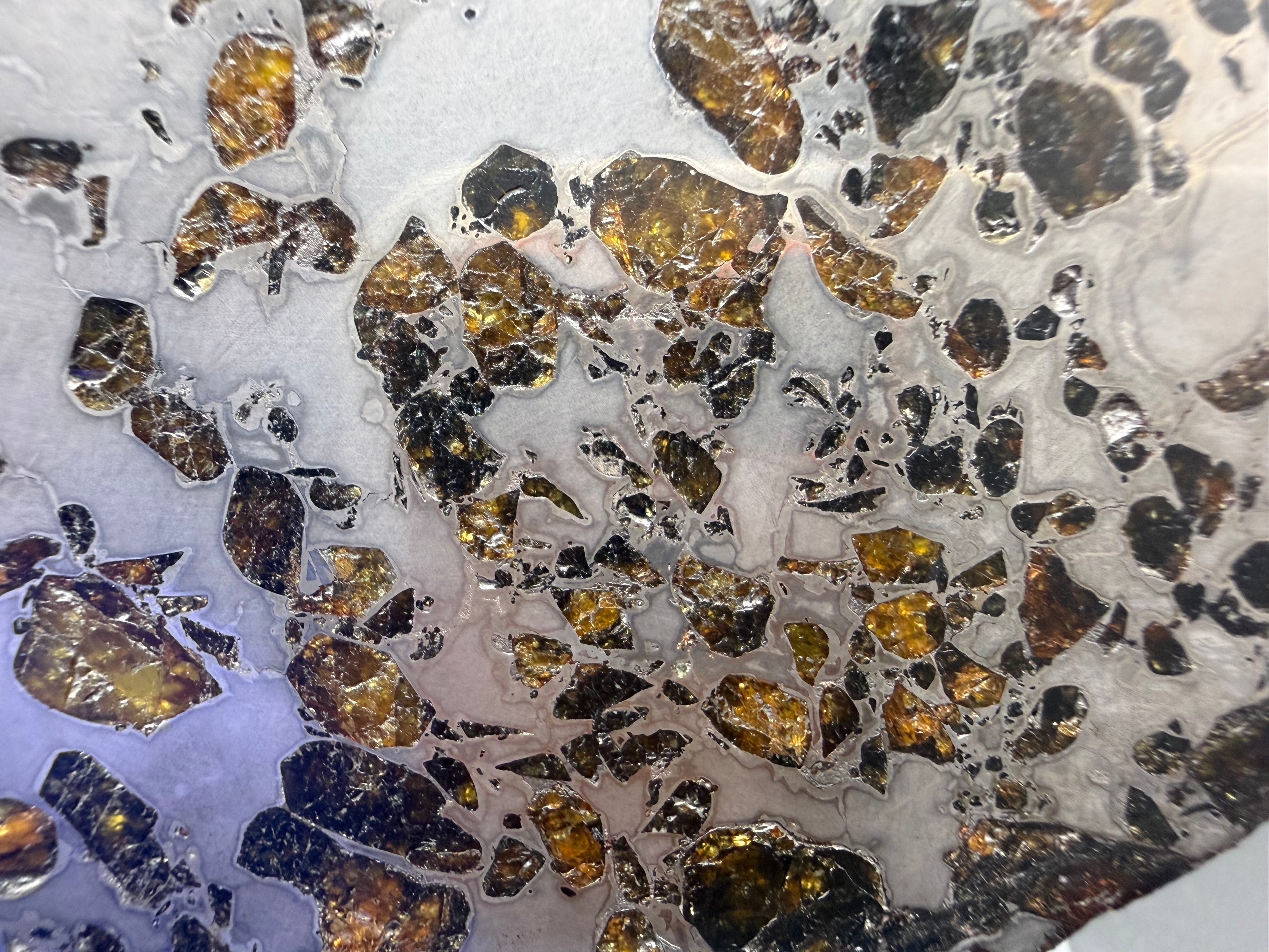 Gyarub Zangbo pallasite 94.90g -- complete edge profile showing slice thickness and stabilization treatment