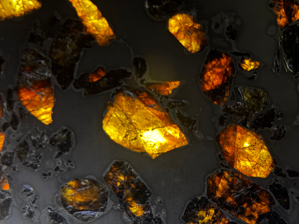 Gyarub Zangbo pallasite 94.90g -- olivine crystal size variation across specimen width