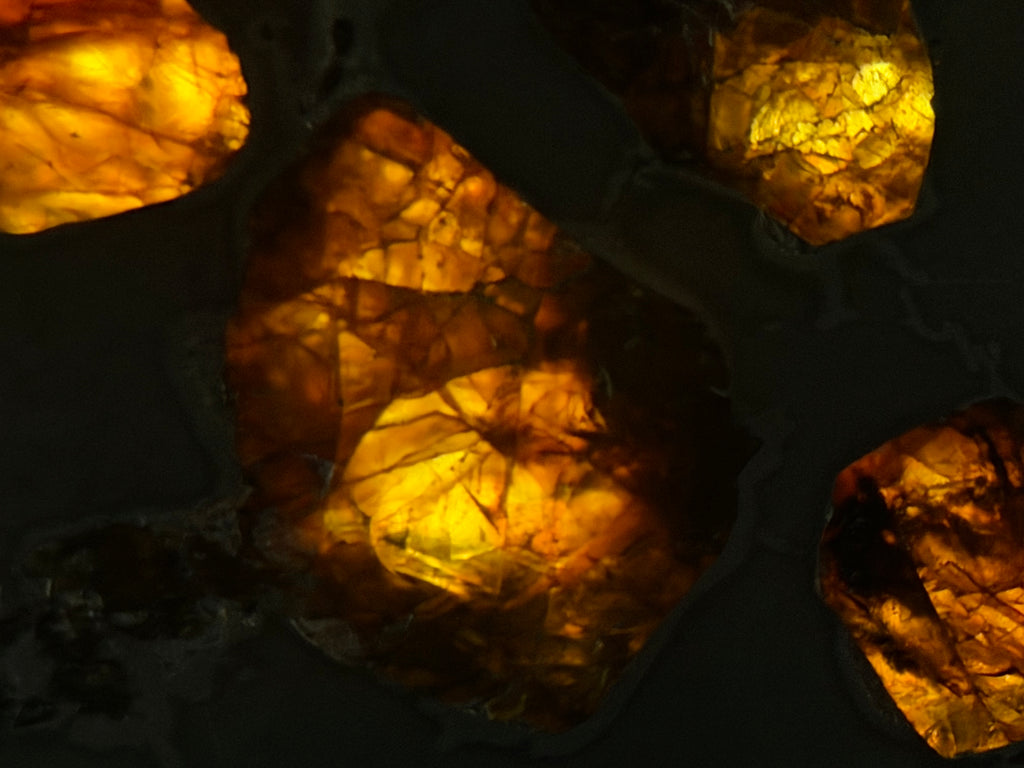 Gyarub Zangbo pallasite 94.90g -- metal framework geometry between adjacent silicate inclusions