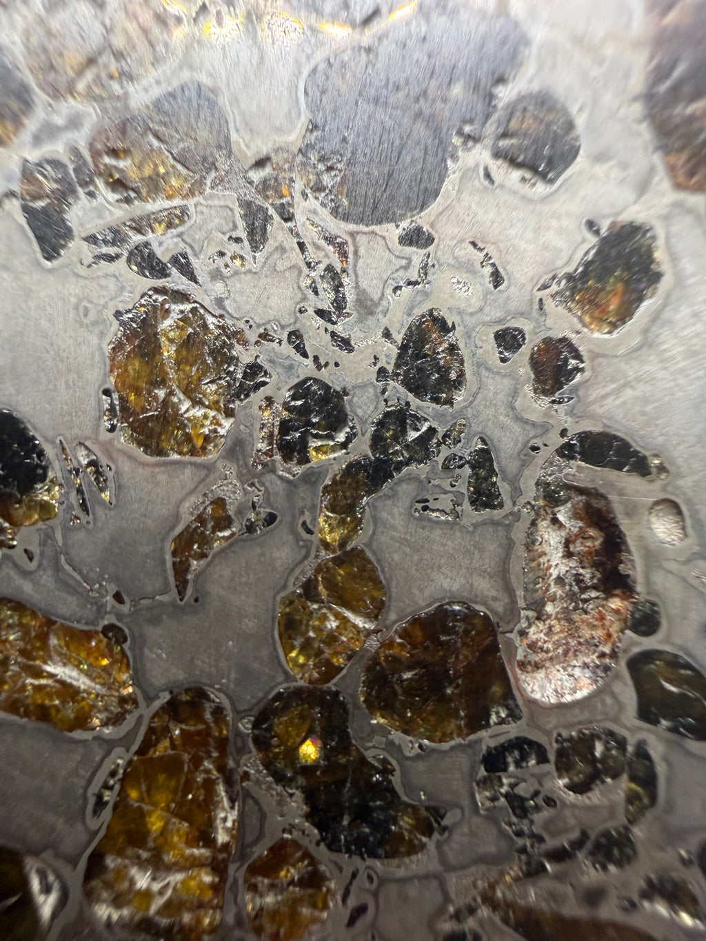 Gyarub Zangbo pallasite 94.90g -- oblique lighting reveals etched metal relief and crystal boundaries