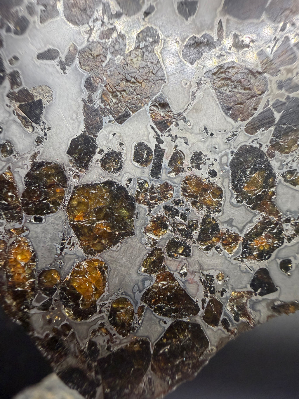 Gyarub Zangbo pallasite 94.90g -- full specimen overview showing olivine-metal mixture distribution
