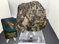NWA 18048 eucrite-pmict meteorite slice 133.72g, mirror polished -- HED achondrite from asteroid 4 Vesta, Treasure Coast Mete