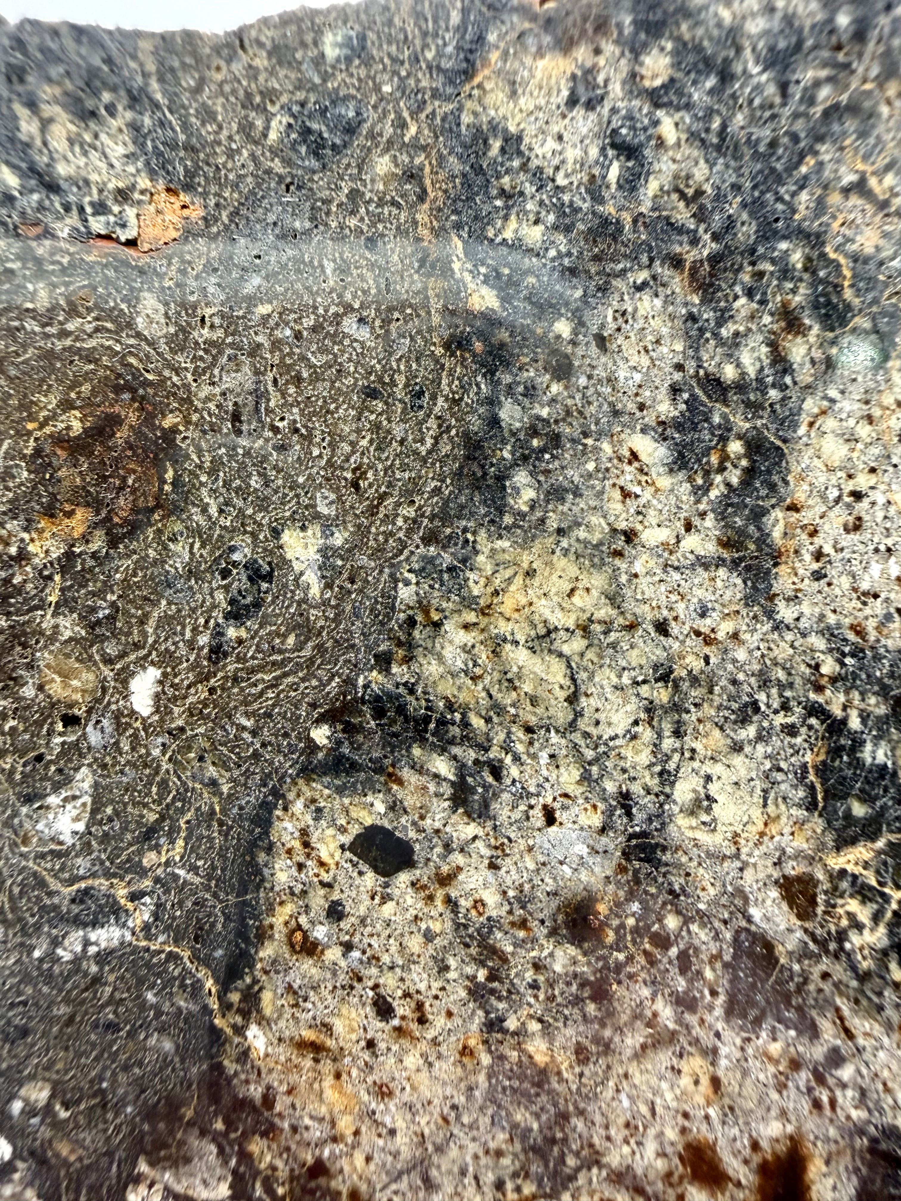 NWA 18048 eucrite meteorite 133.72g -- compositional contrast between lighter fragments and darker impact melt zones