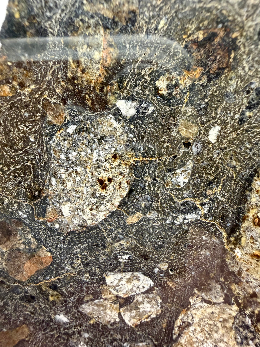 NWA 18048 eucrite-pmict 133.72g -- textural mosaic of mixed lithologies from Vesta's regolith