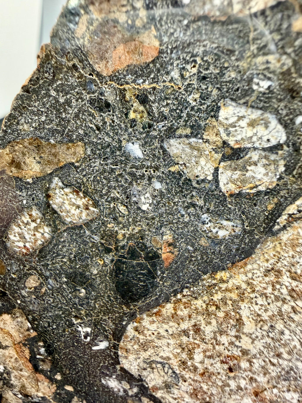 NWA 18048 eucrite meteorite 133.72g -- eucritic clast boundaries and dark matrix material under mirror polish