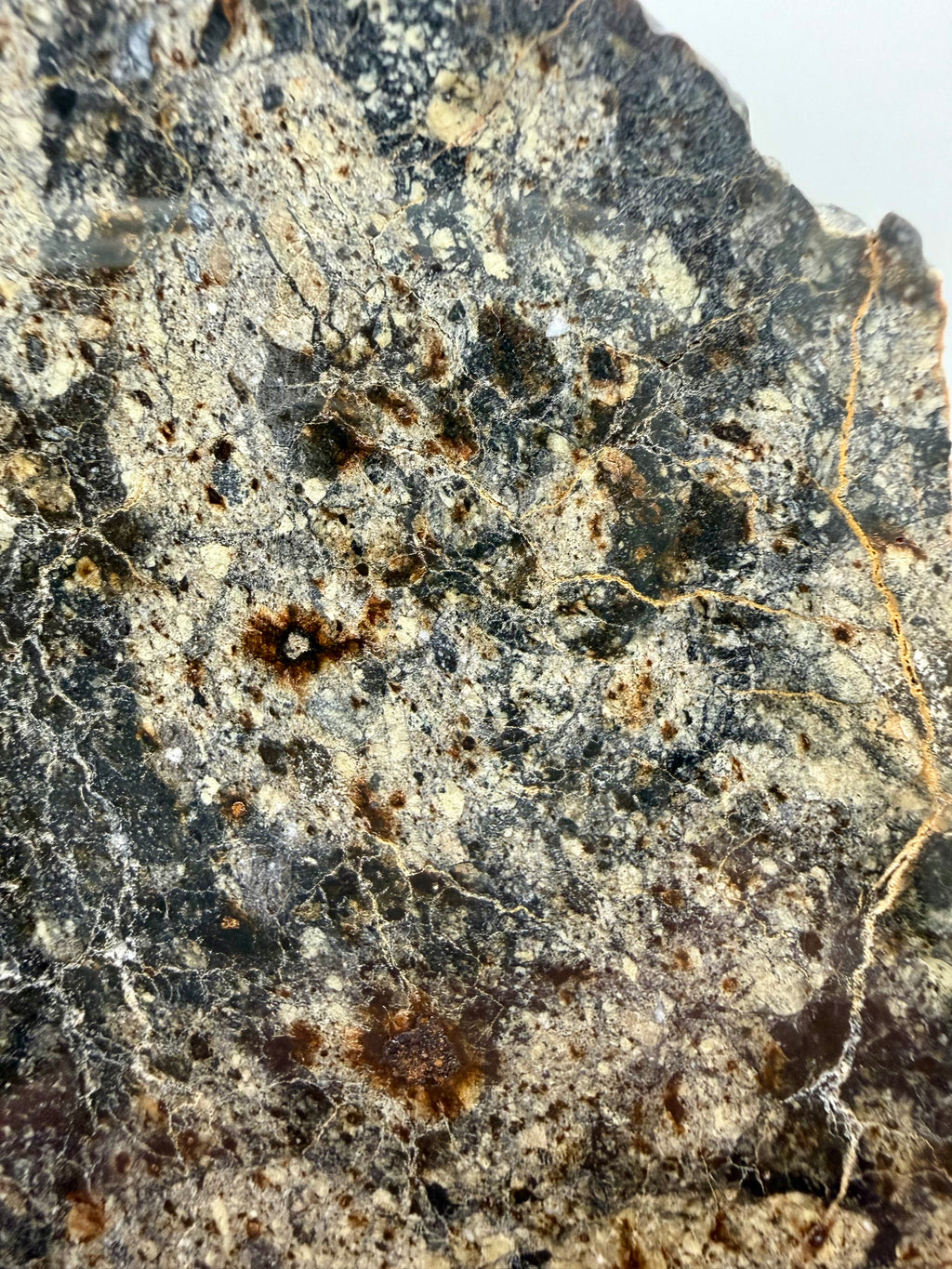 NWA 18048 eucrite-pmict 133.72g -- color gradations within individual basaltic clasts under polish