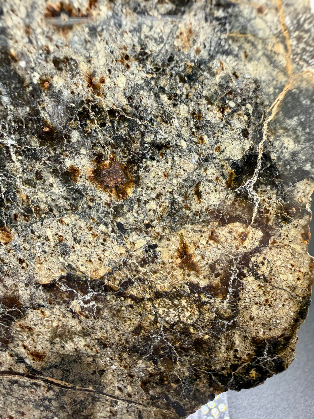 NWA 18048 eucrite meteorite 133.72g -- clast population showing variable grain sizes and cooling histories