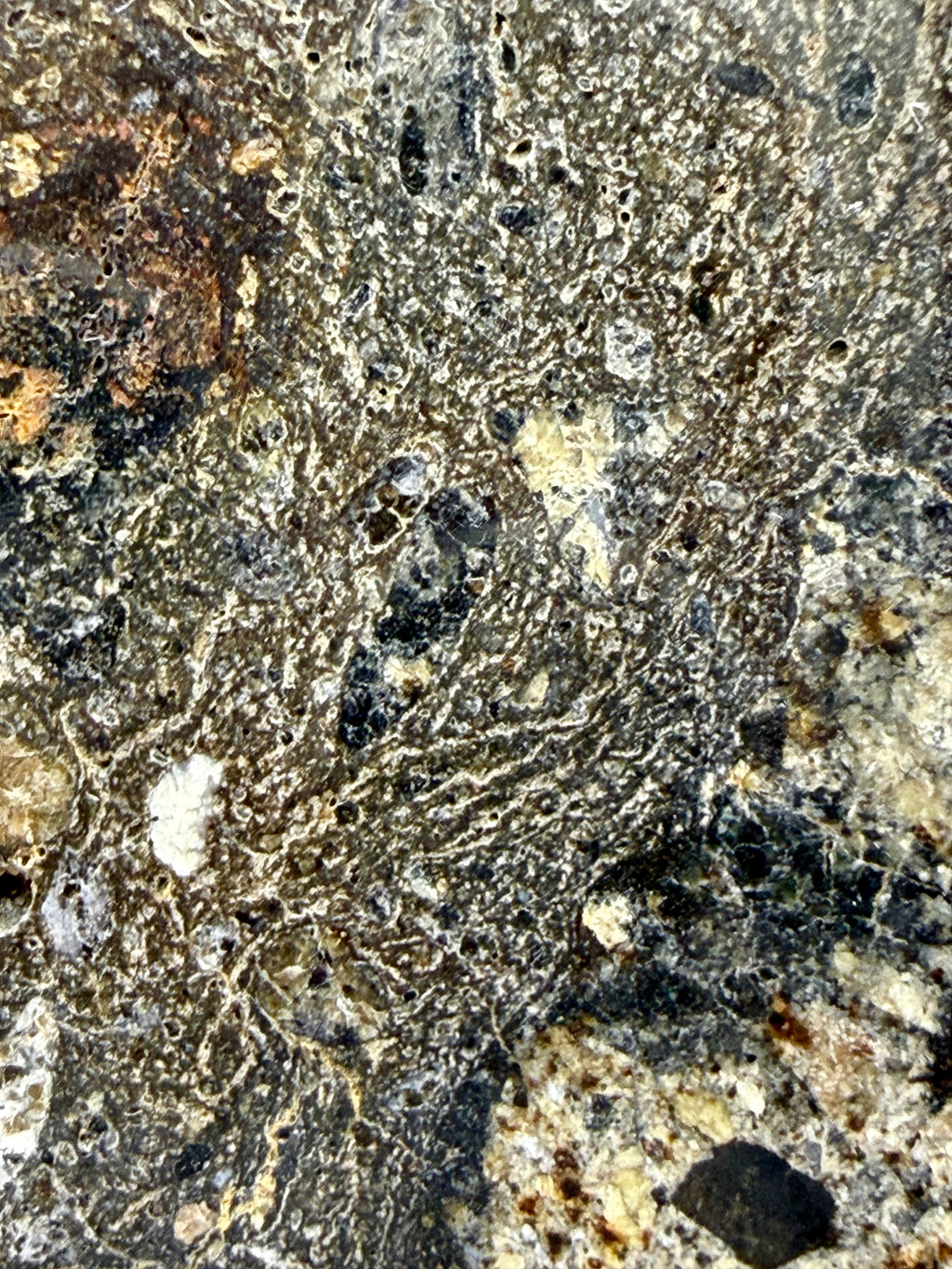 NWA 18048 eucrite-pmict 133.72g -- full polished surface displaying impact breccia structure from asteroid Vesta