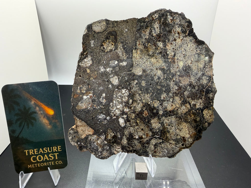 Meteorite on display with a card labeled 'Treasure Coast Meteorite Co.'