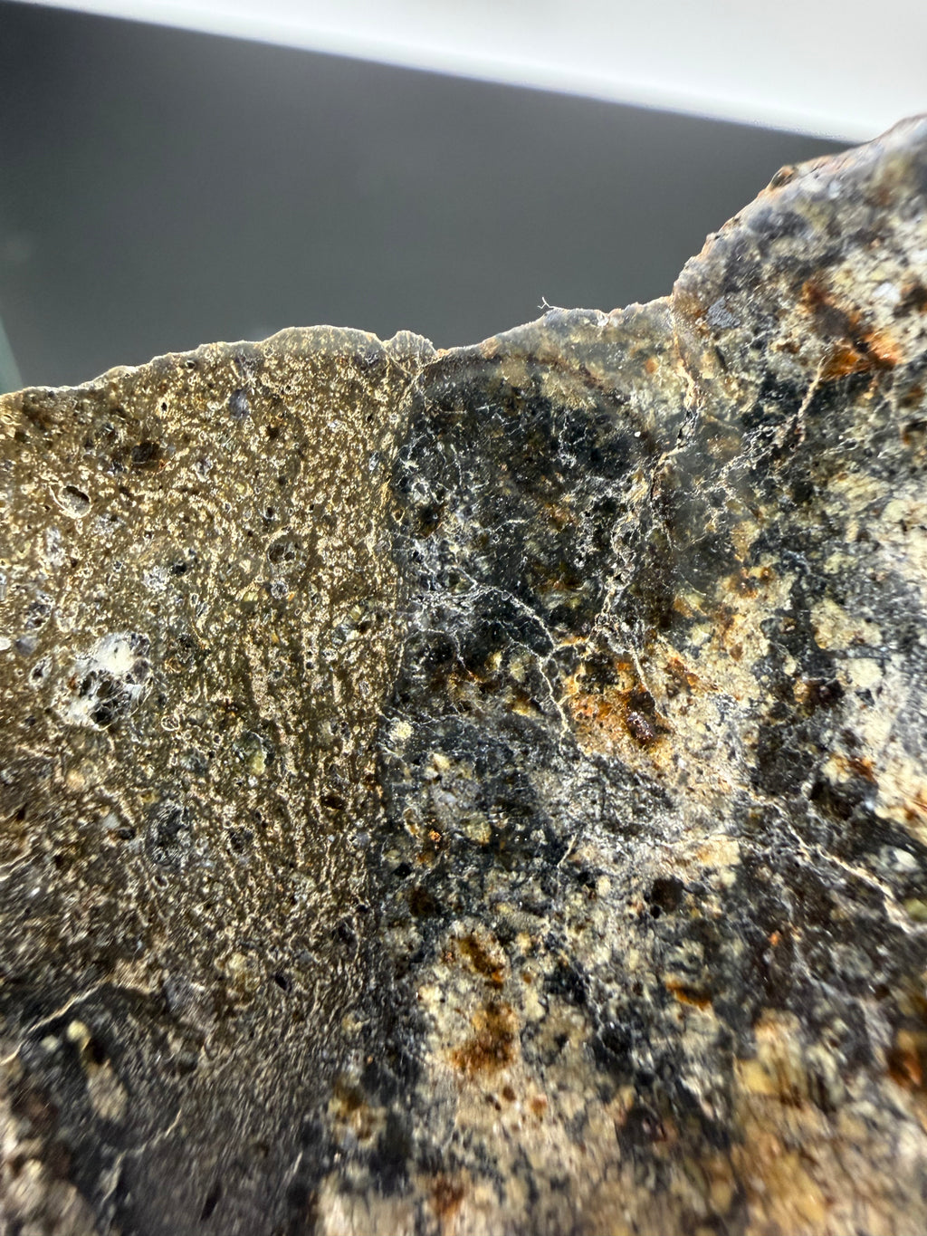 Close-up of a textured meteorite surface with variations in color and texture.