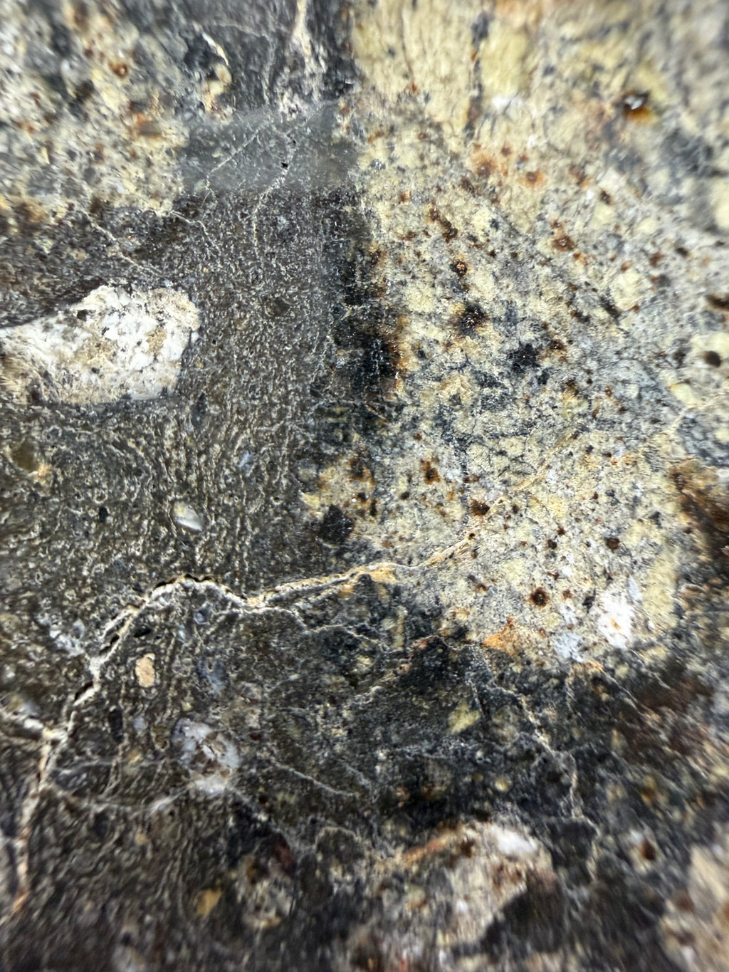 Close-up of a textured meteorite surface with various shades of brown and gray.