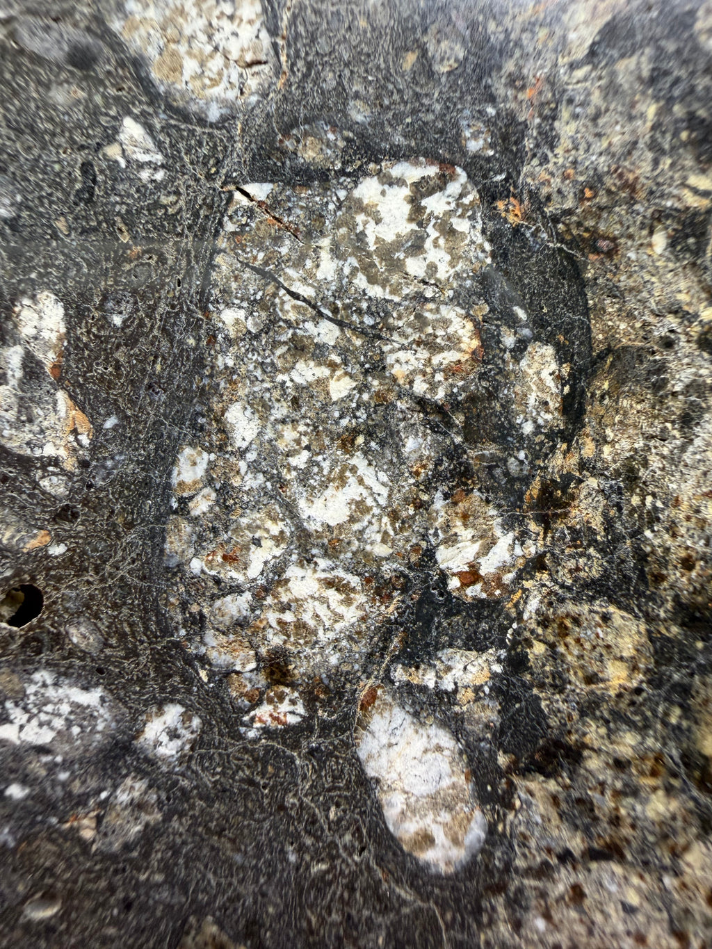 Close-up of a textured meteorite surface with white and brown patches