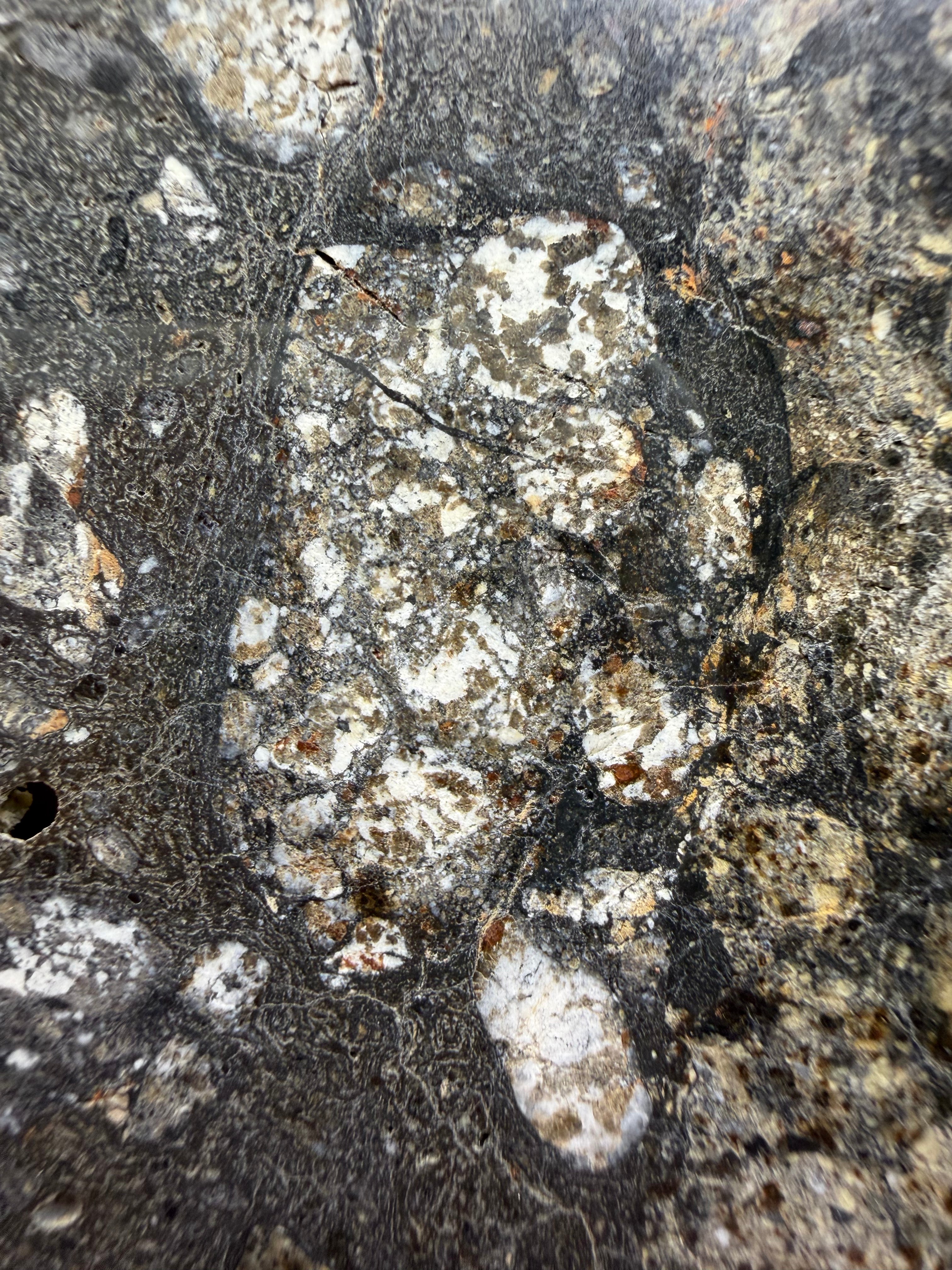 Close-up of a textured meteorite surface with white and brown patches