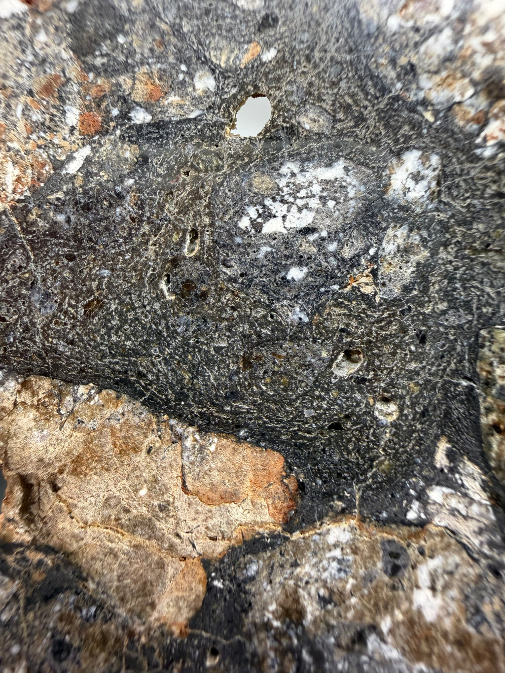 Close-up of a textured eucrite melt surface with various colors and patterns.
