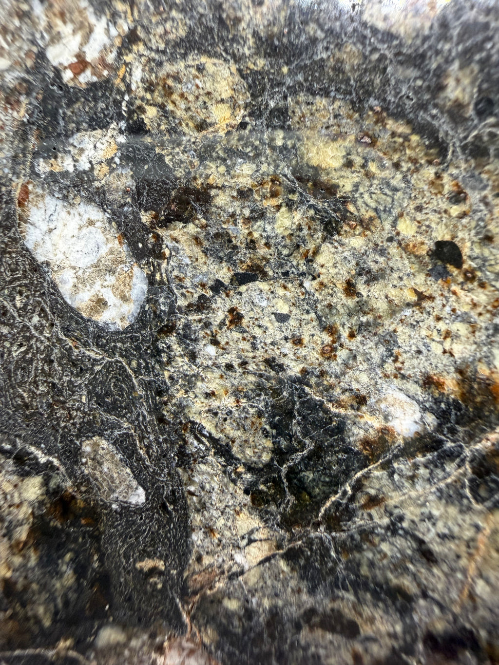 Close-up of a textured meteorite surface with various colors.