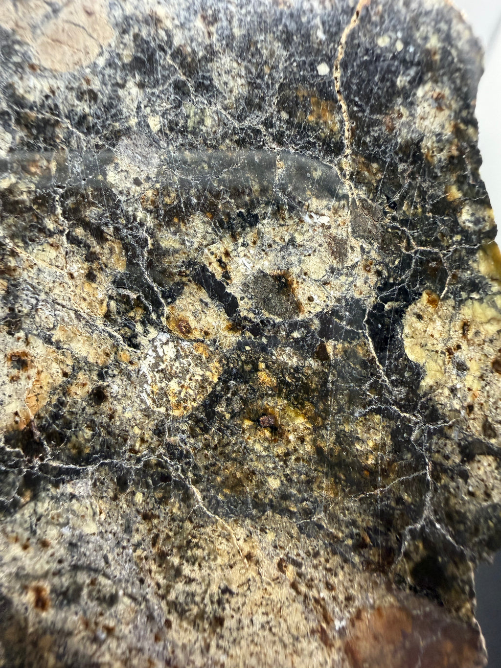 Close-up of a textured meteorite surface with brown and gray colors