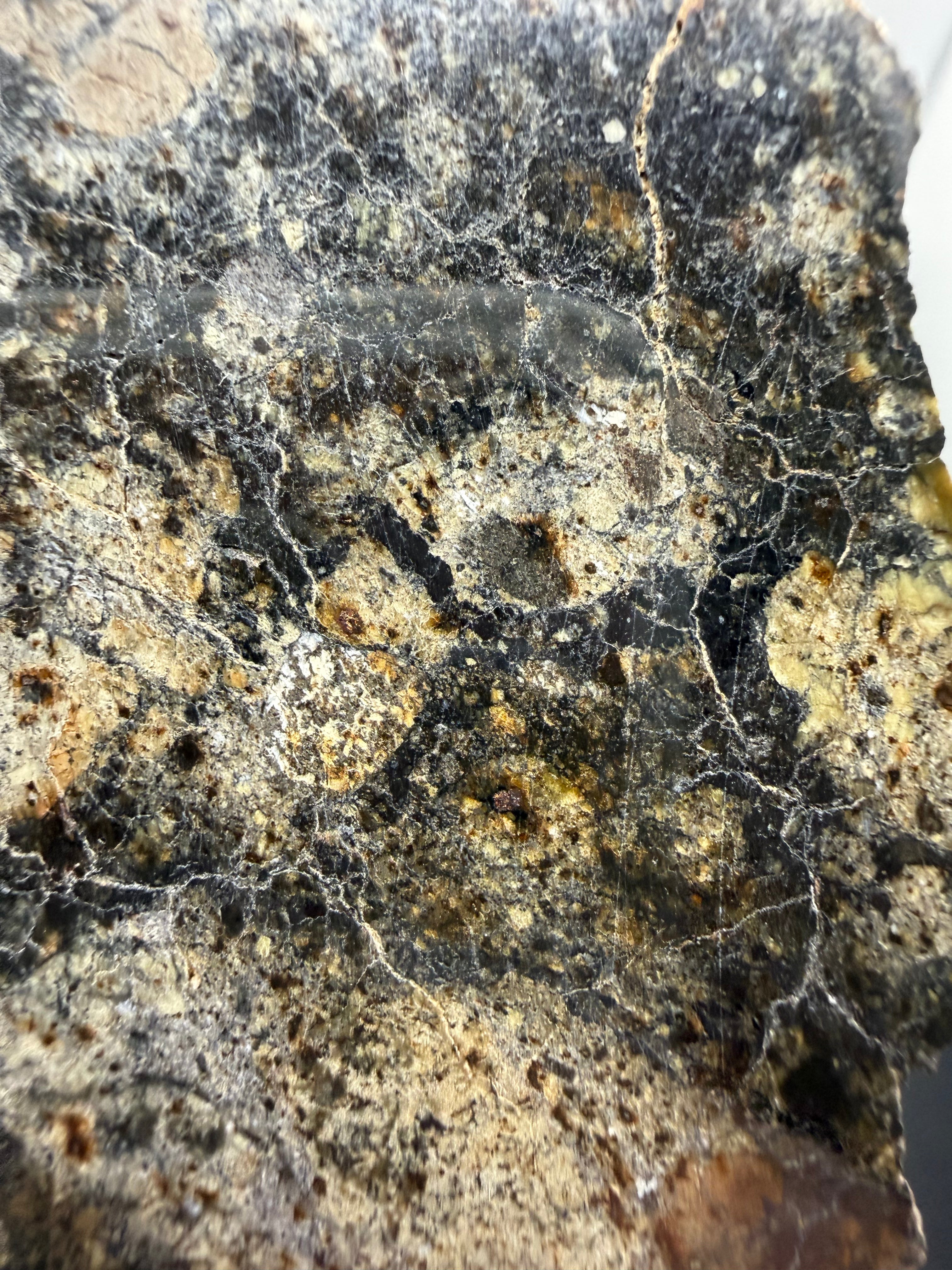 Close-up of a textured meteorite surface with brown and gray colors