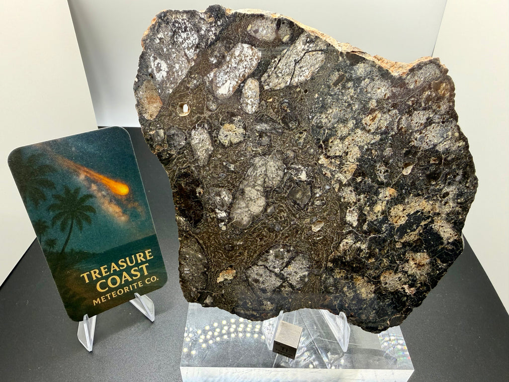 NWA 18048 eucrite-pmict meteorite slice 119.29g, mirror polished -- HED achondrite from asteroid 4 Vesta, Treasure Coast Mete