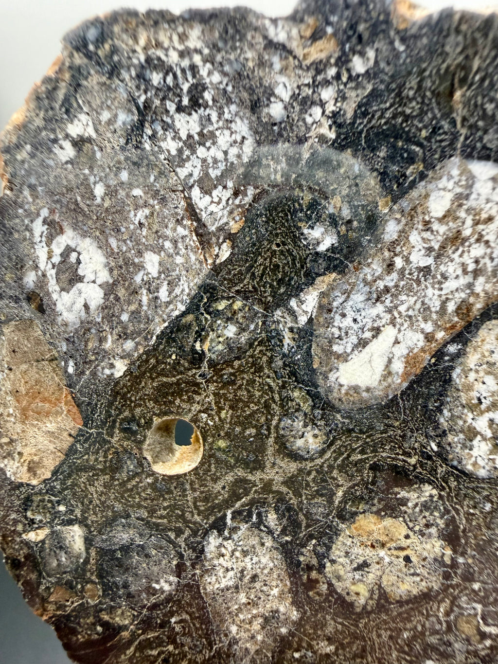 NWA 18048 eucrite meteorite 119.29g -- thick impact melt vein cutting across brecciated eucritic clasts