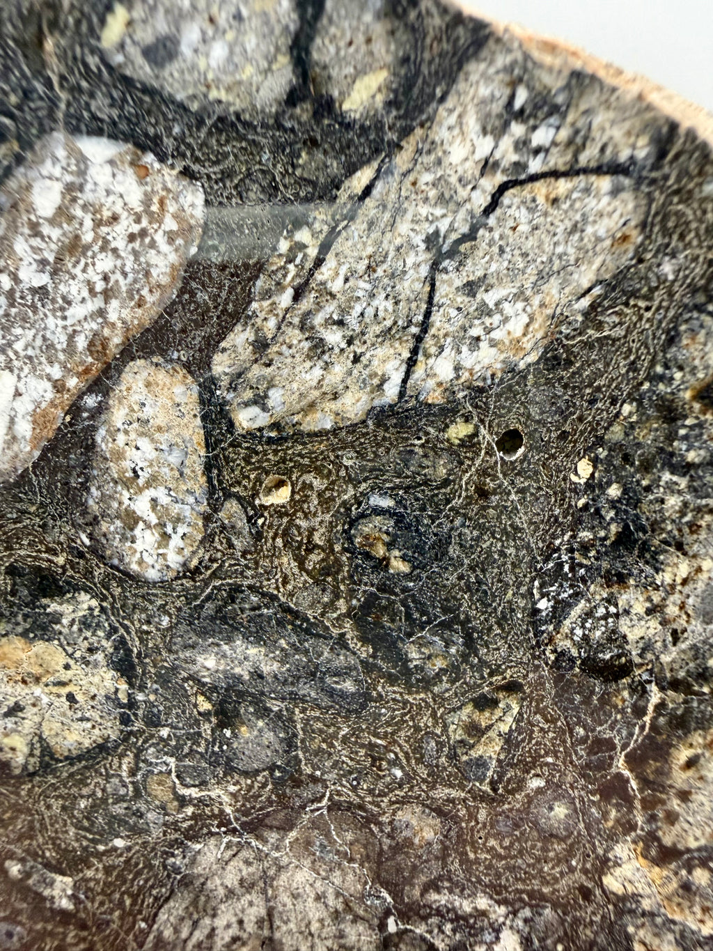 NWA 18048 eucrite-pmict 119.29g -- mixed light gray and dark clasts in polymict breccia matrix, mirror finish