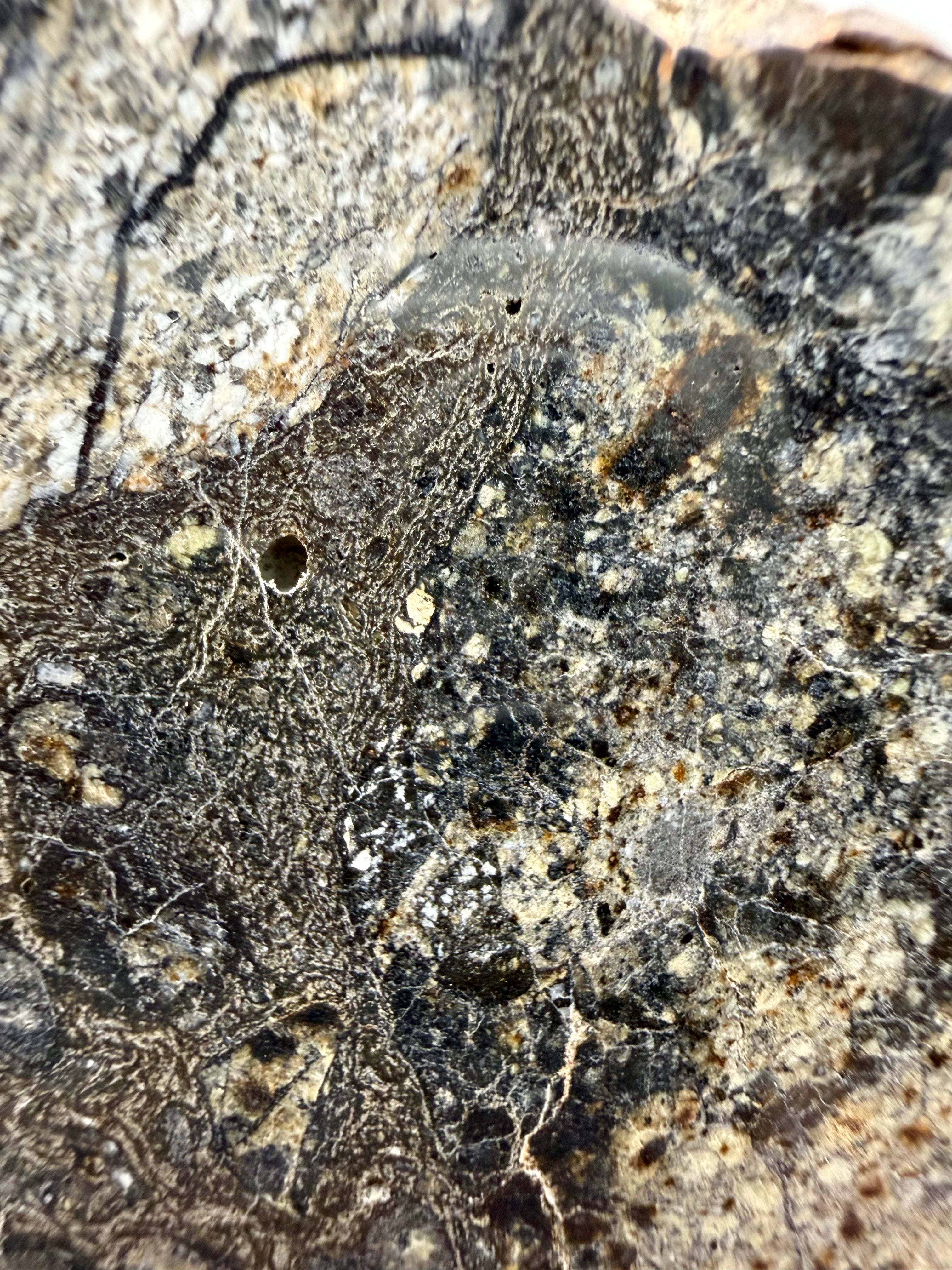NWA 18048 eucrite meteorite 119.29g -- crystalline texture within individual eucritic clast, mirror-polished surface