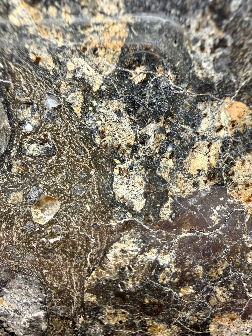 NWA 18048 eucrite-pmict 119.29g -- melt zone showing glassy texture from impact heating and rapid cooling
