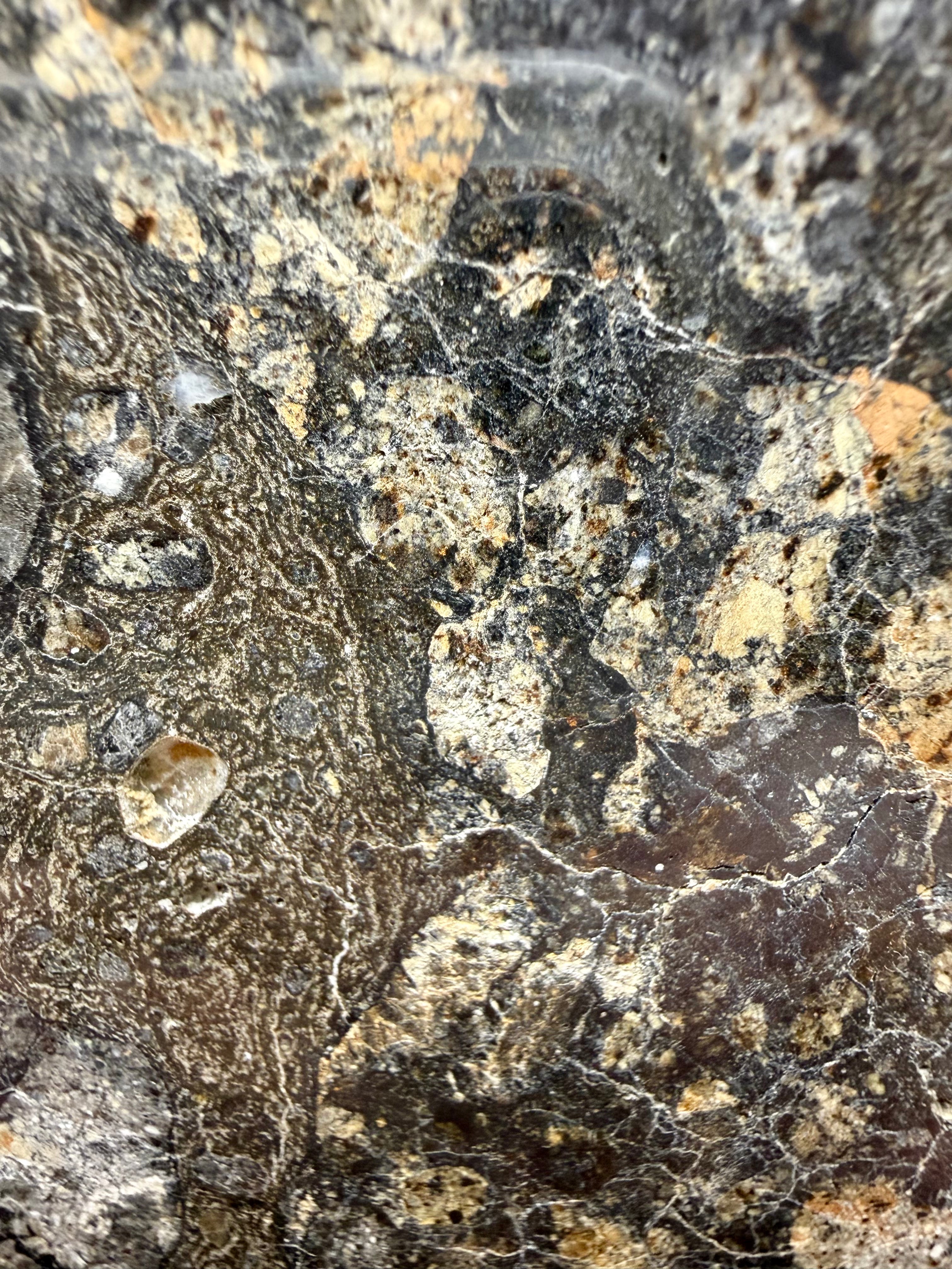 NWA 18048 eucrite-pmict 119.29g -- melt zone showing glassy texture from impact heating and rapid cooling